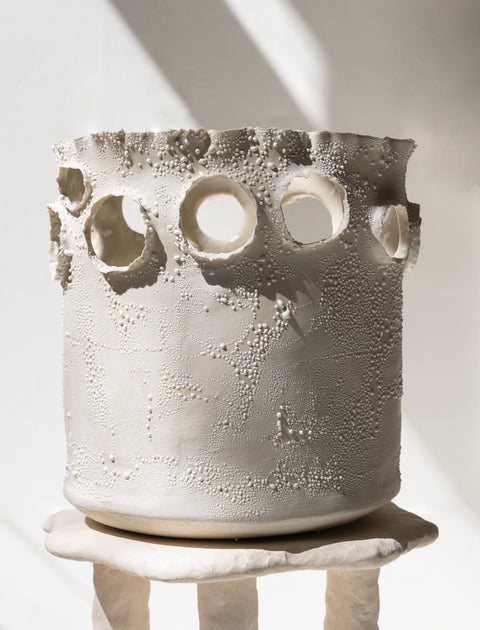 Nathalee Paolinelli Large Roosting Vase White Lichen