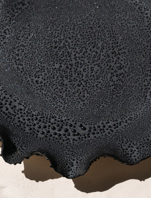Nathalee Paolinelli Black Lichen Plater Plate