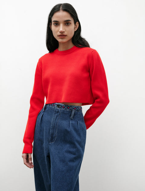 Auralee Super Hard Twist Ribbed Cotton Pullover Red