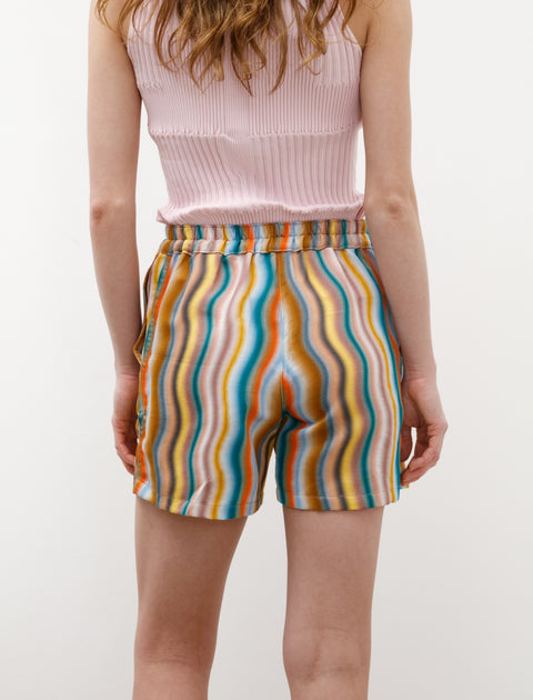 Howlin' Private Shorts Multi Waves