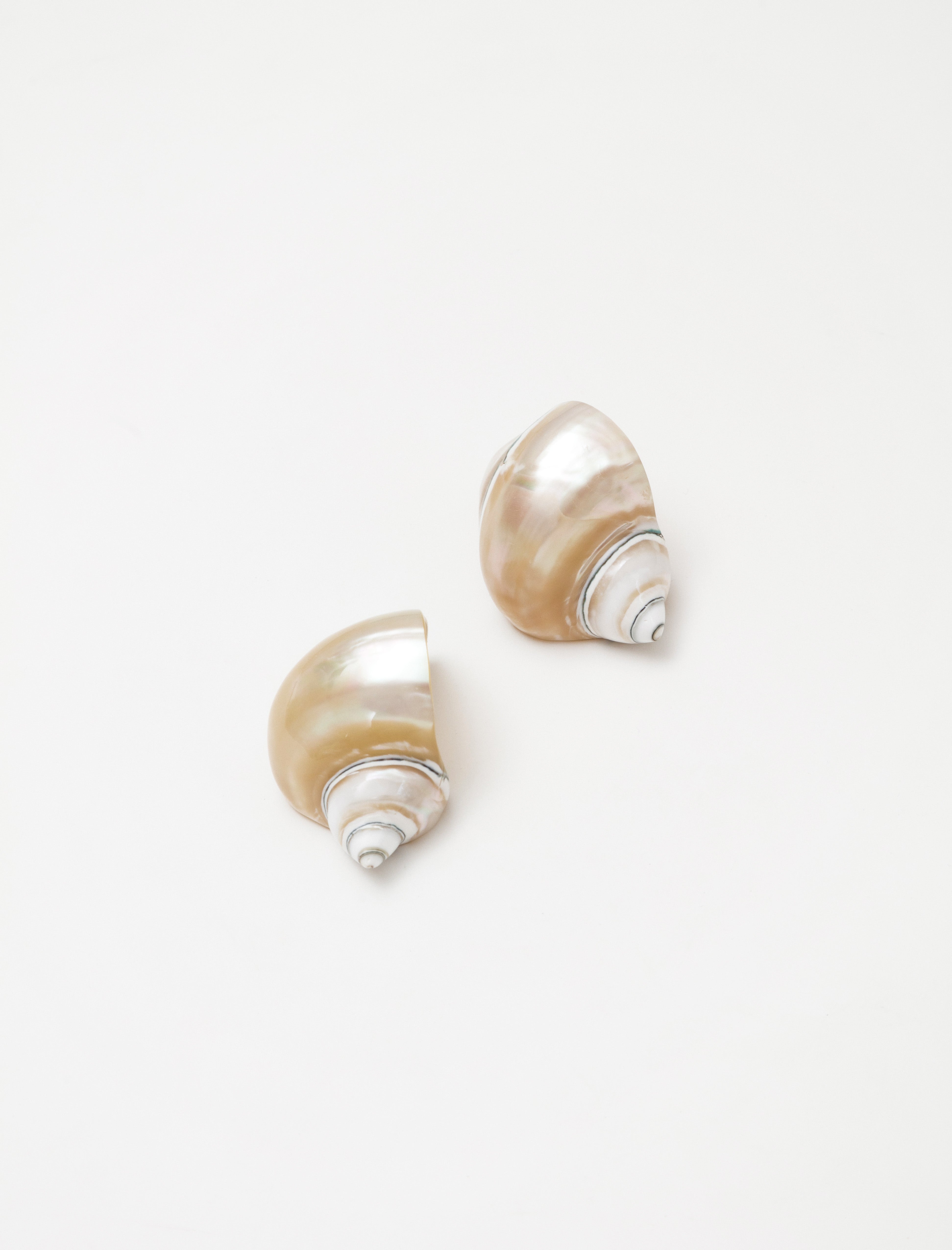 Shell Napkin Ring