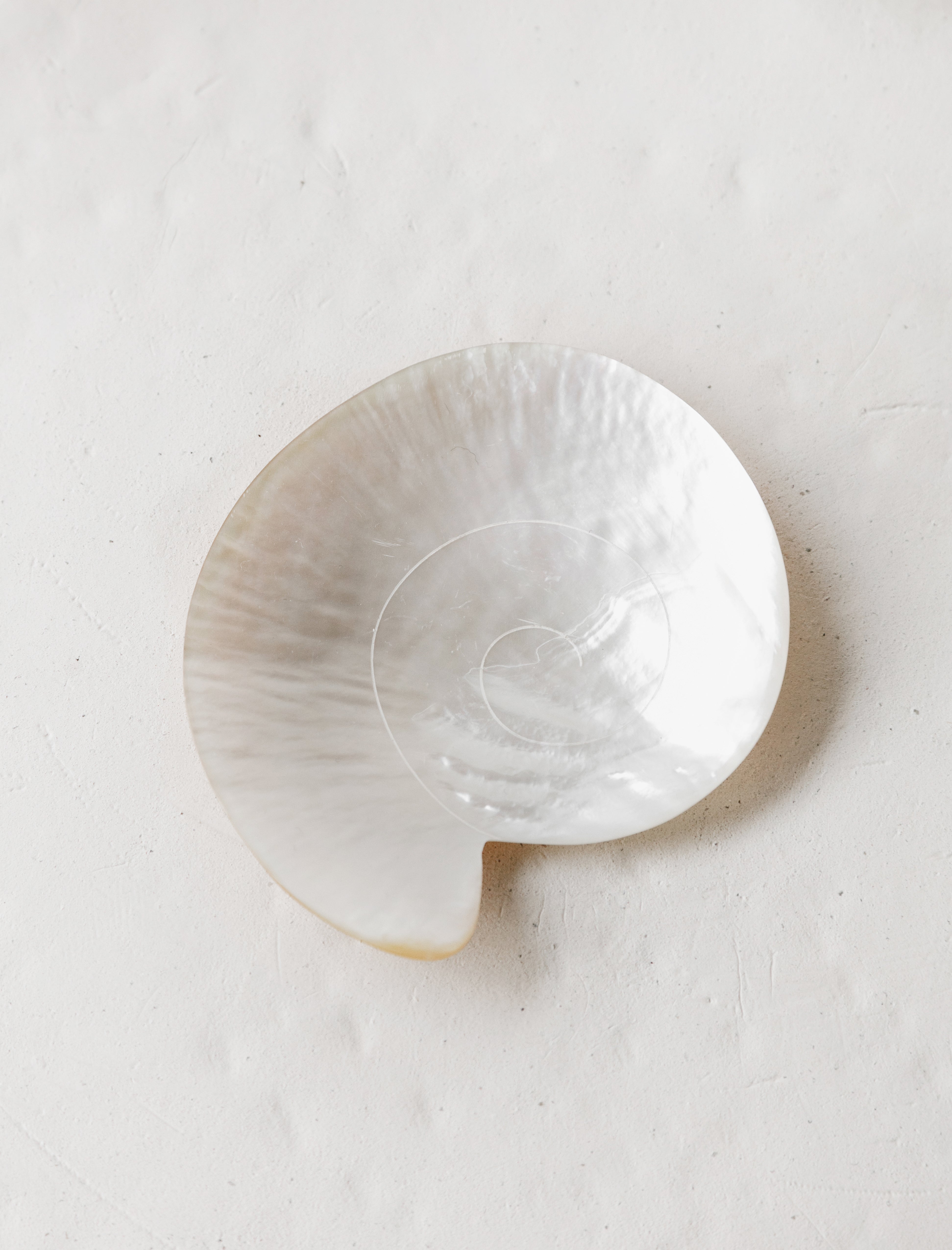 Gohar World Mother of Nautilus Dish