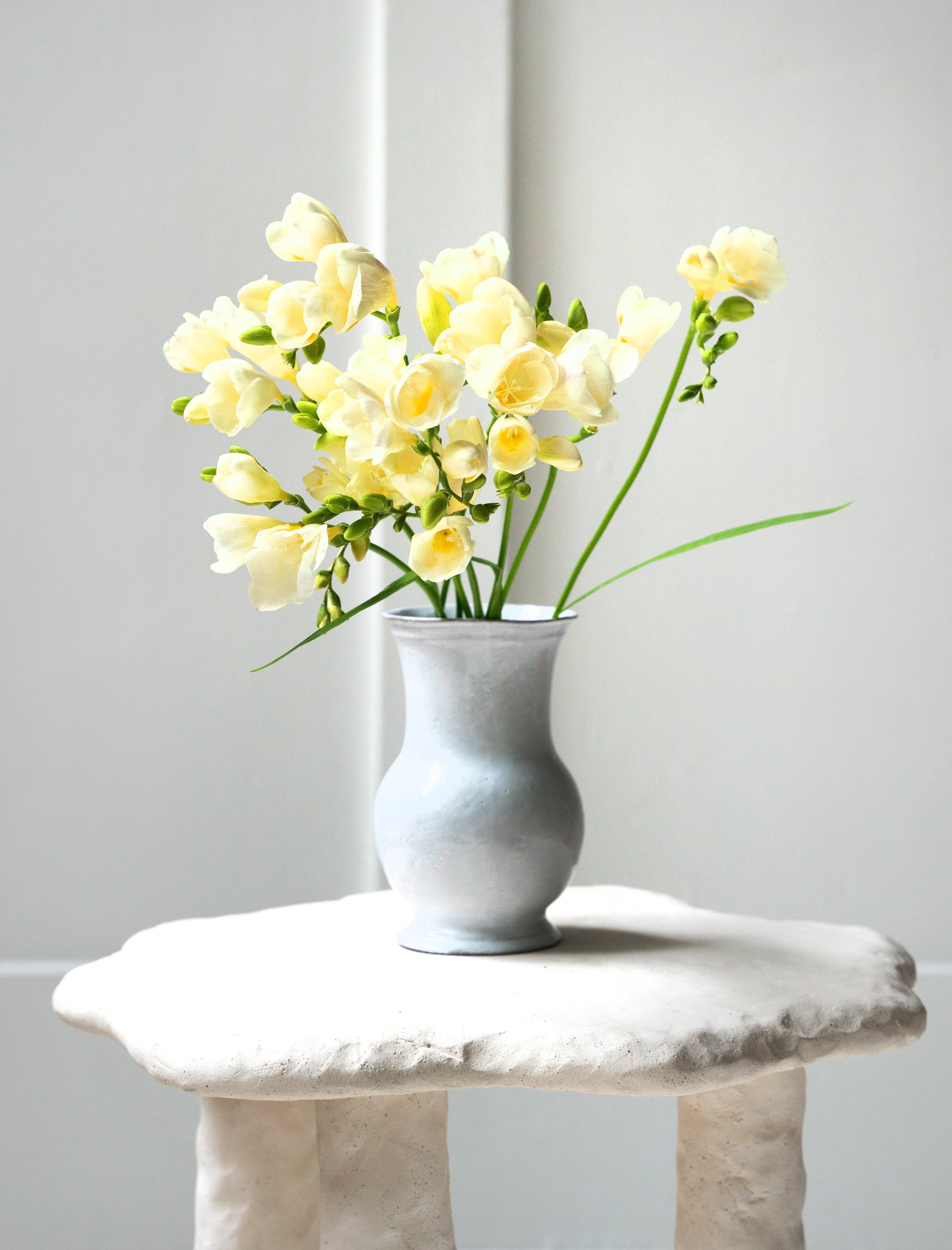 Astier de Villatte Mini Colbert Vase