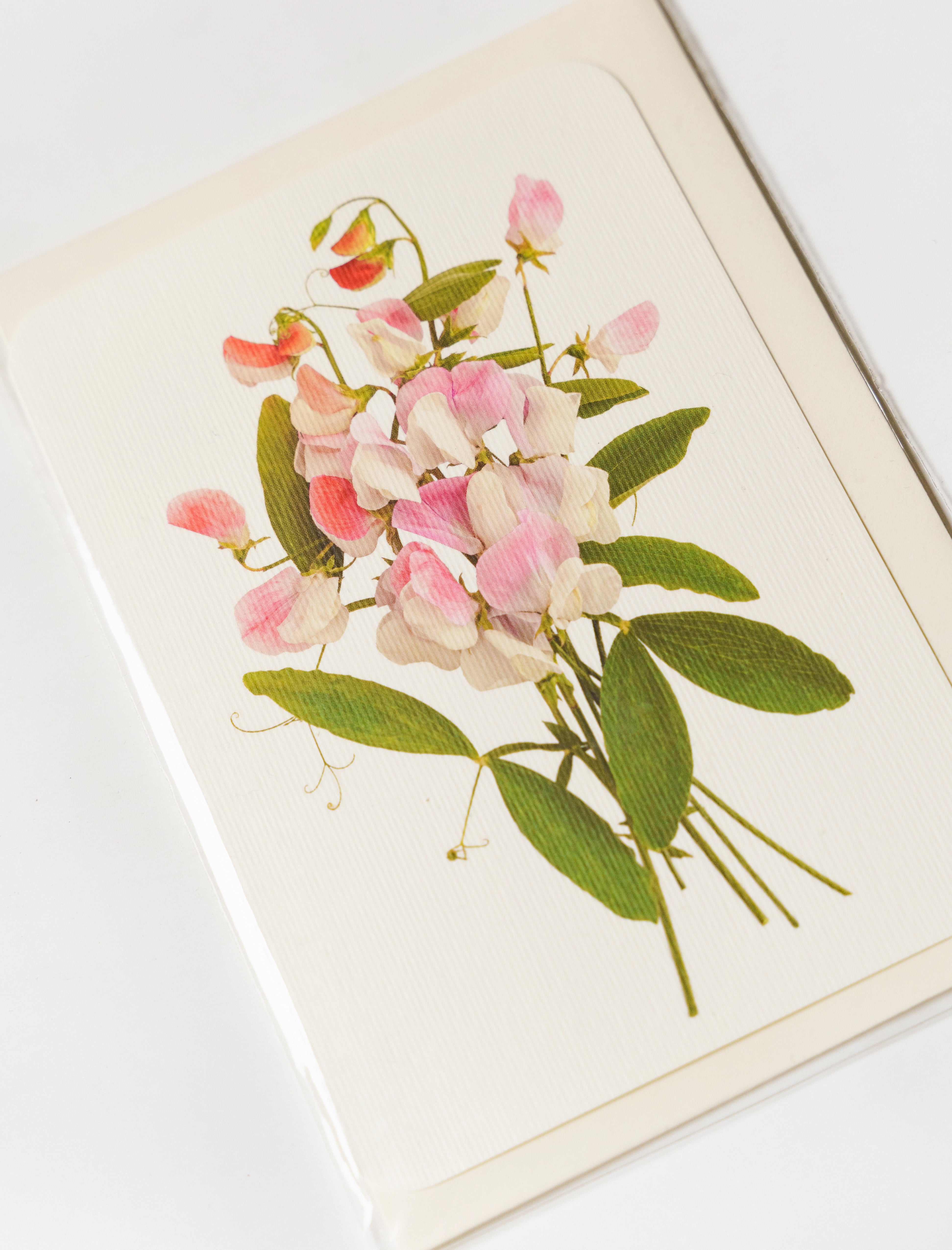 Canonbury Press Greeting Card Pink Sweet Peas