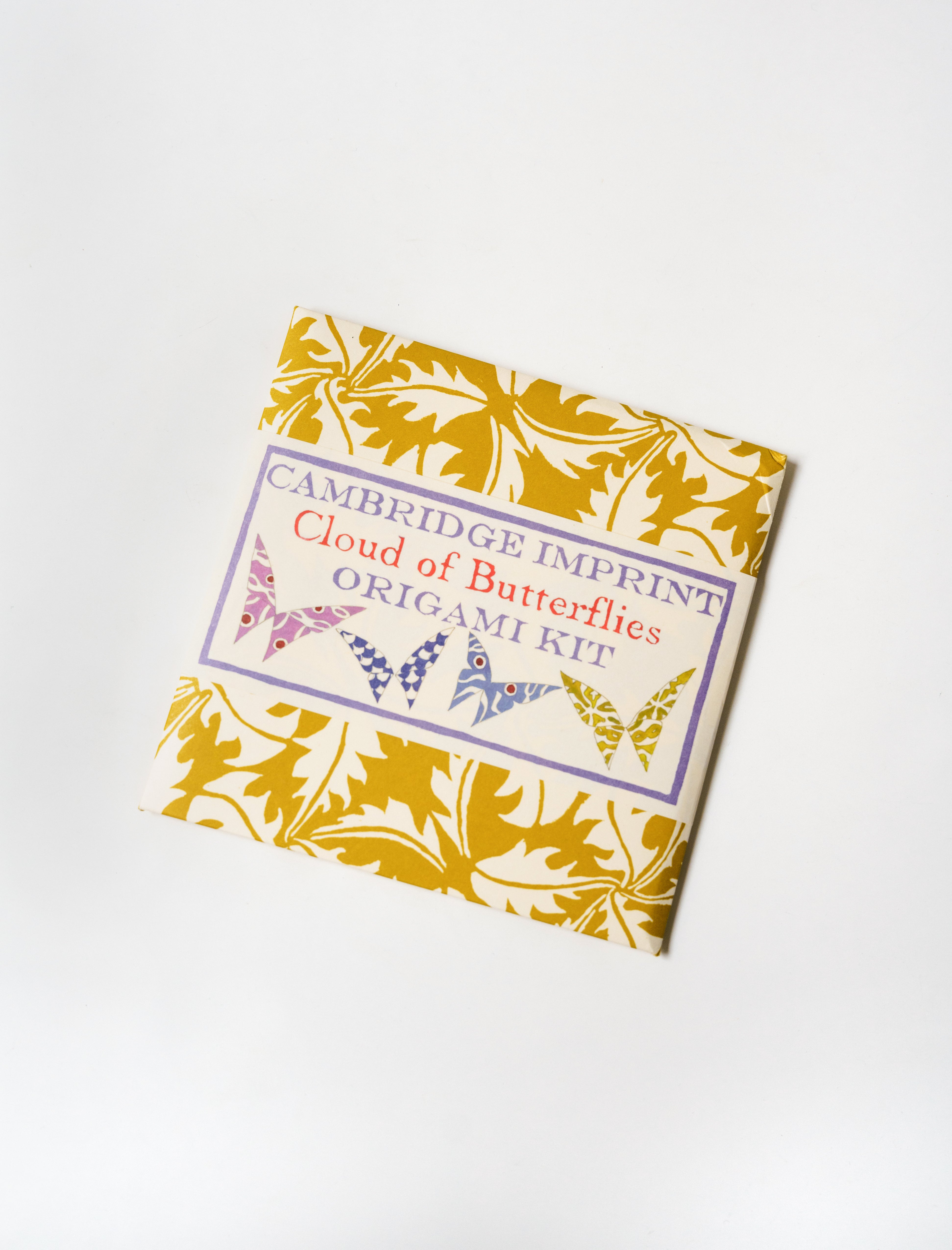 Cambridge Imprint Origami Cloud of Butterflies Kit