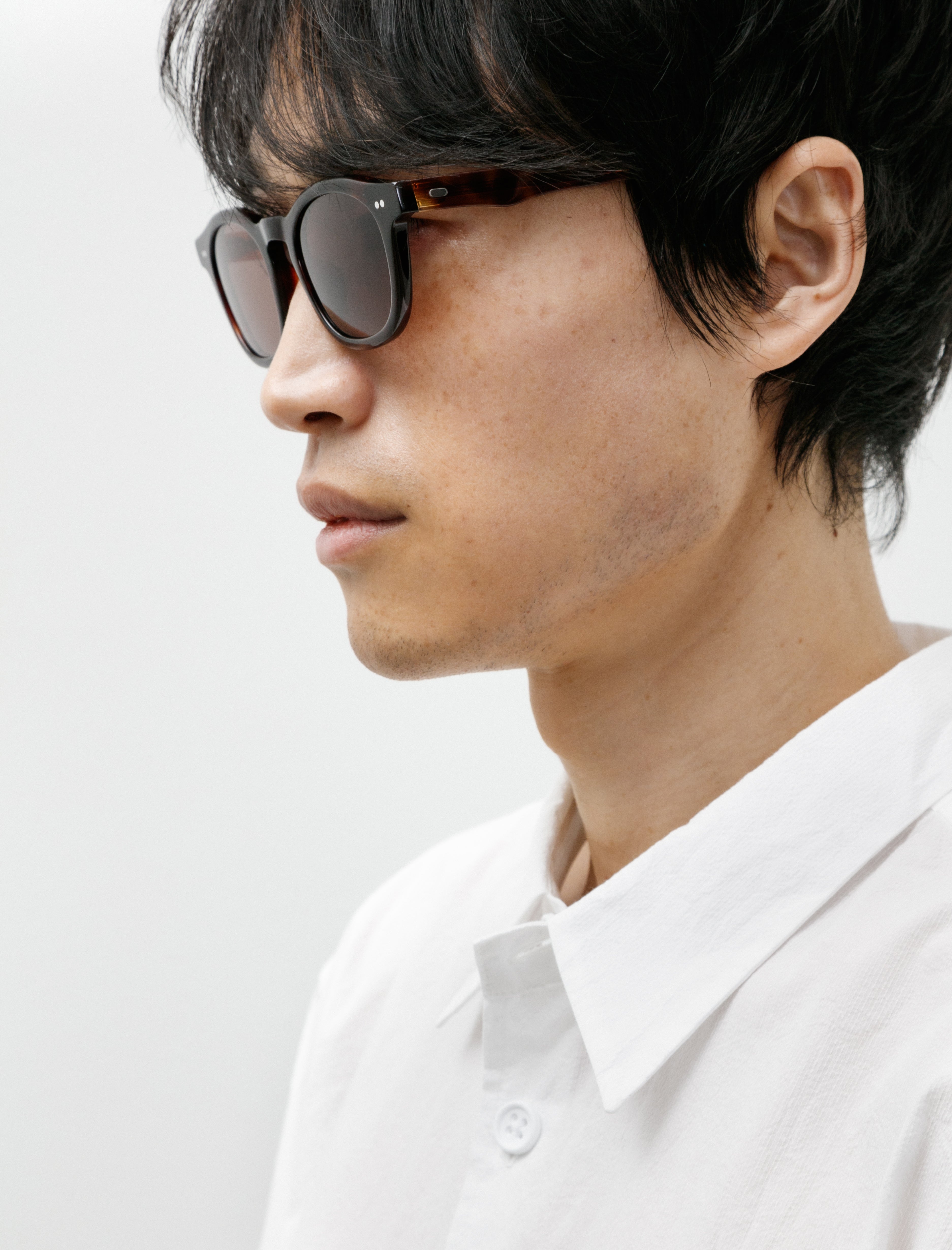 Dry Pond Alves II Sunglasses Tortoise