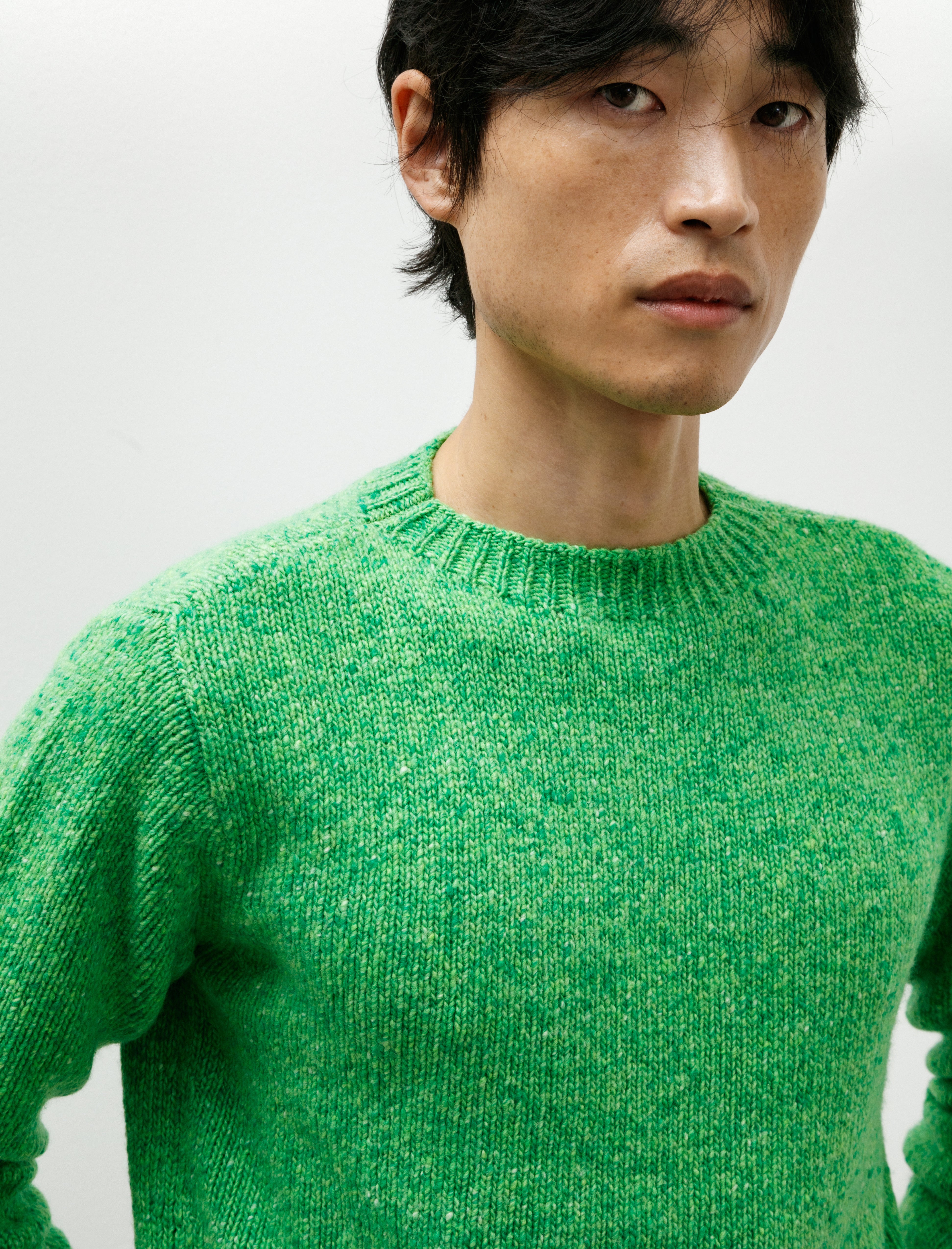 Auralee Cashmere Melange Knit P/O Top Green