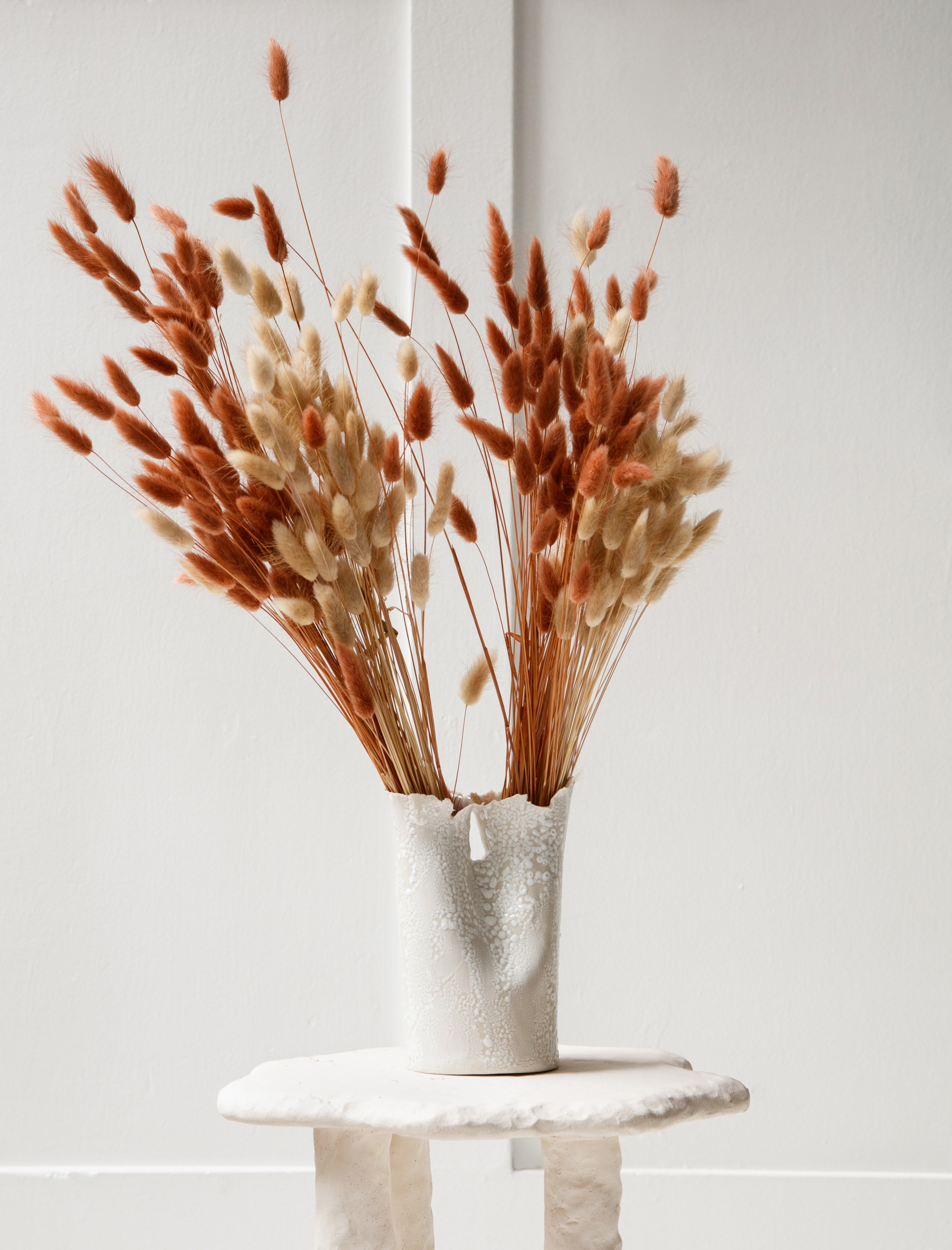 Nathalee Paolinelli Flute White Lichen Pop