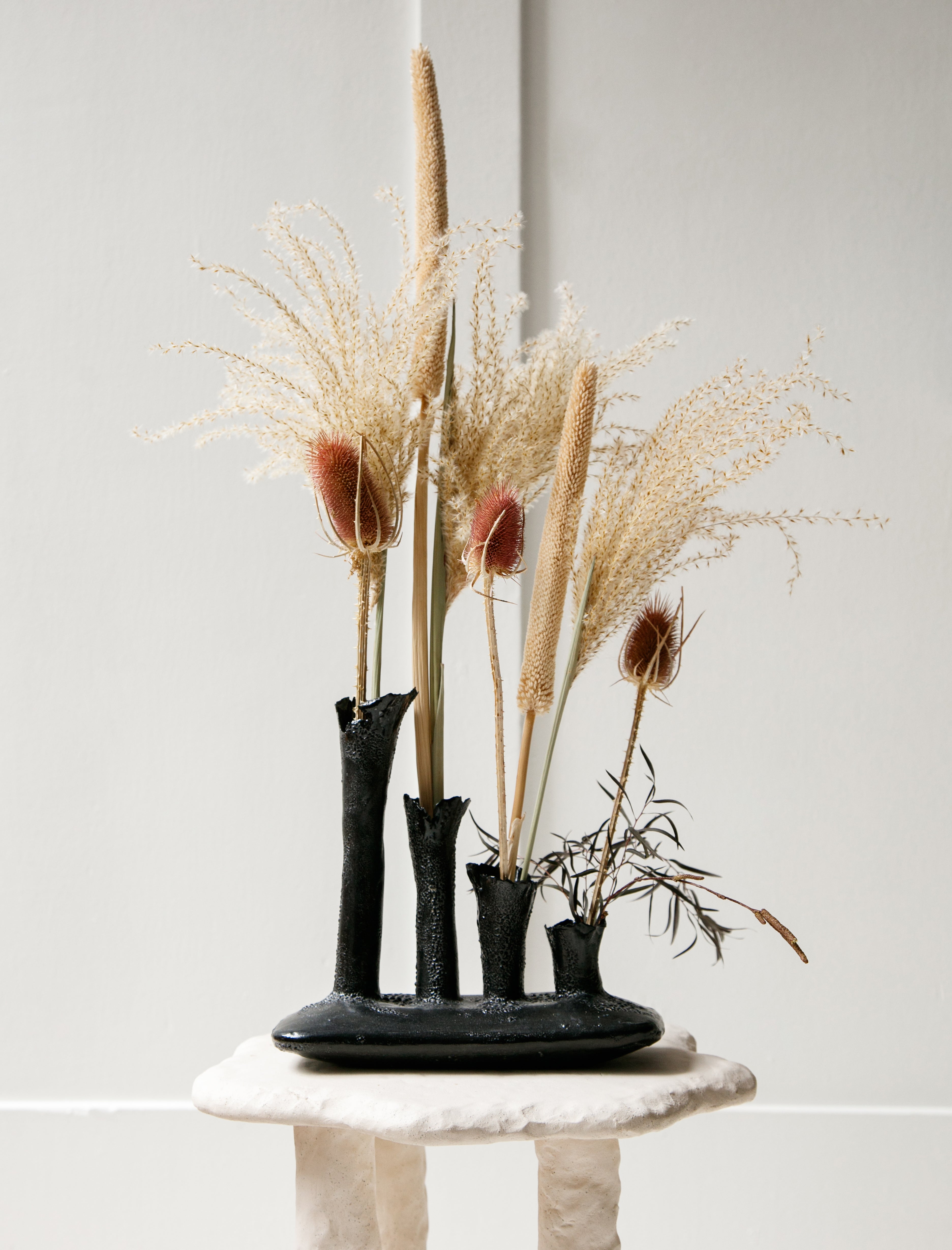 Nathalee Paolinelli Oblong Coral Colony 4 Tubes Black Lichen Pop