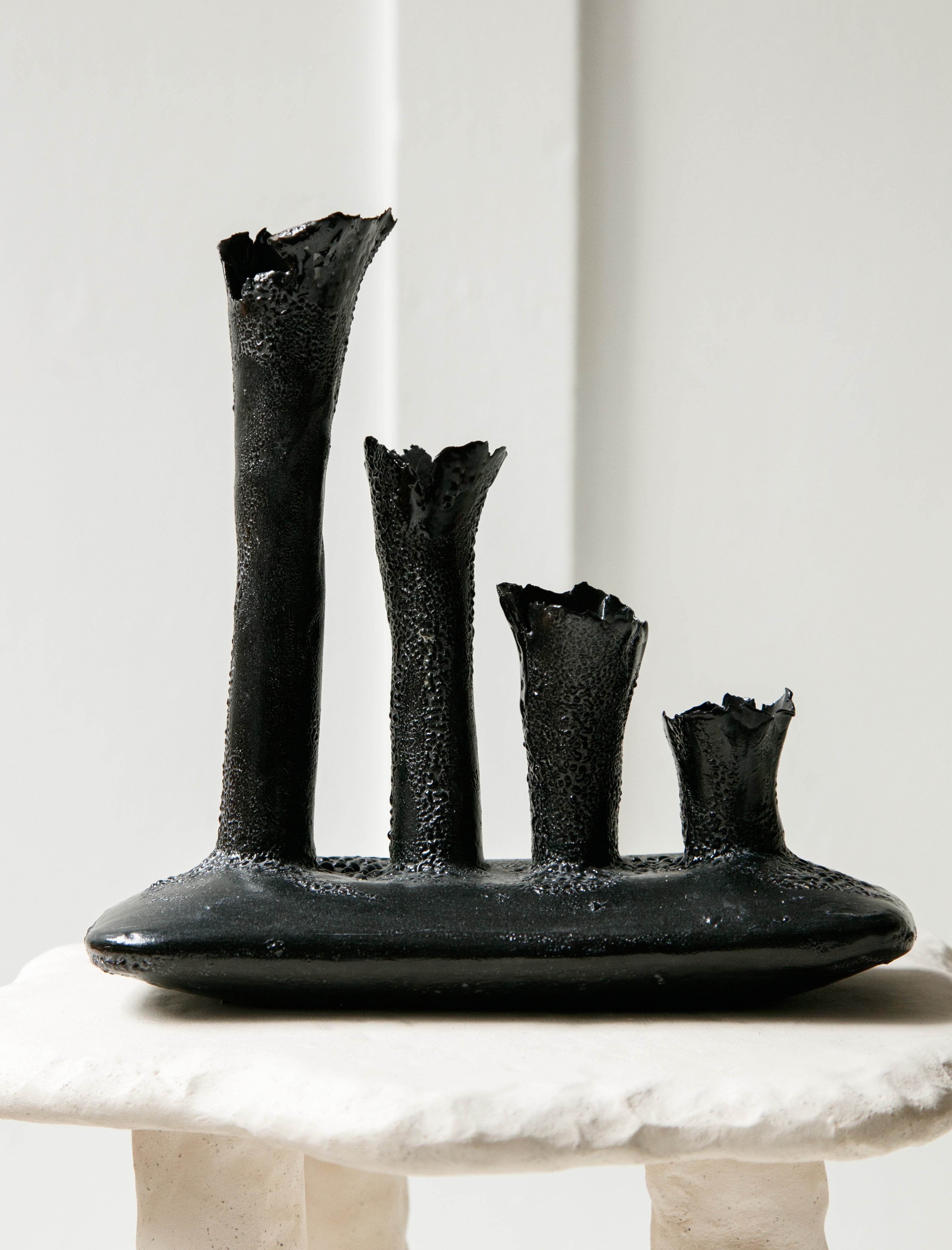 Nathalee Paolinelli Oblong Coral Colony 4 Tubes Black Lichen Pop