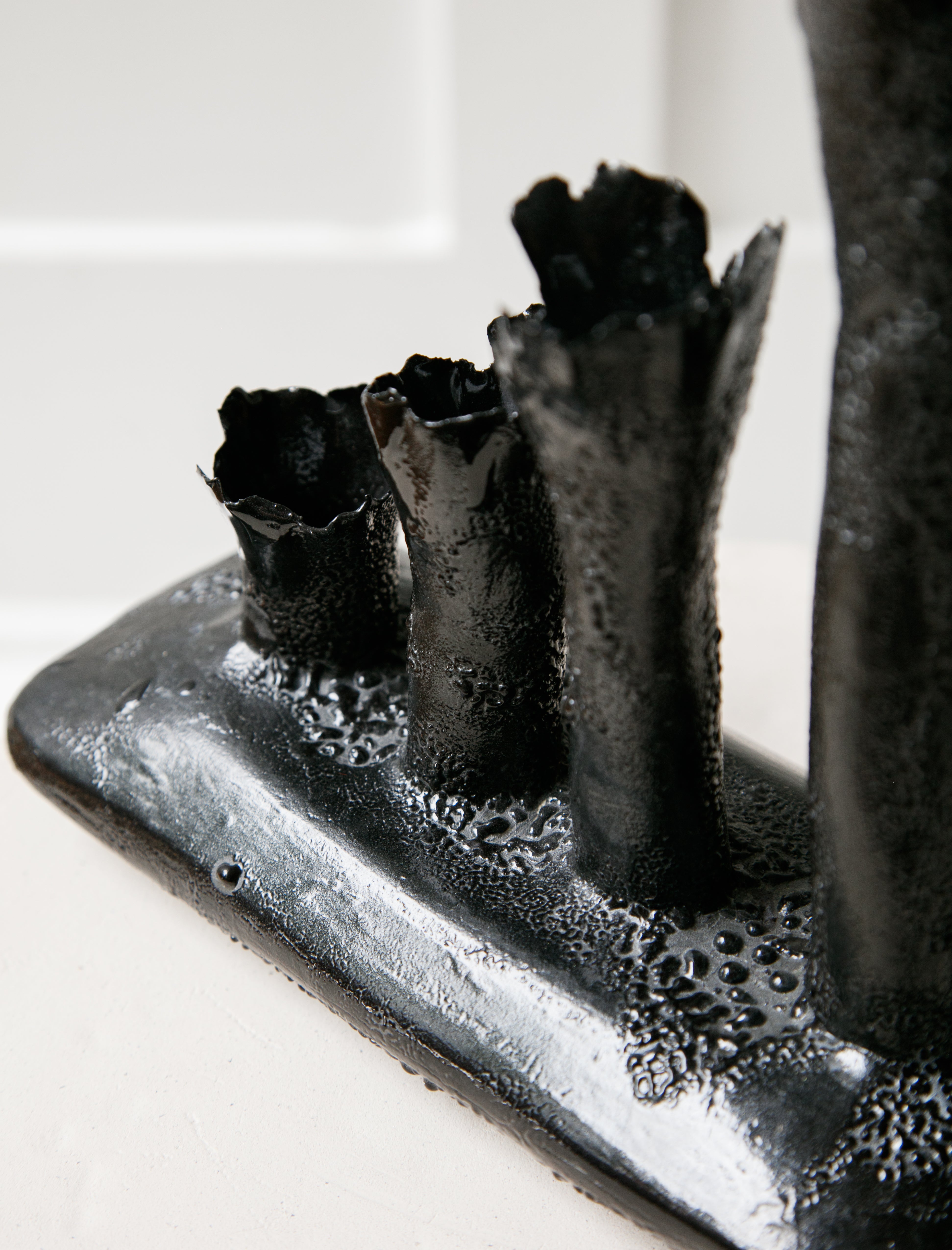 Nathalee Paolinelli Oblong Coral Colony 4 Tubes Black Lichen Pop