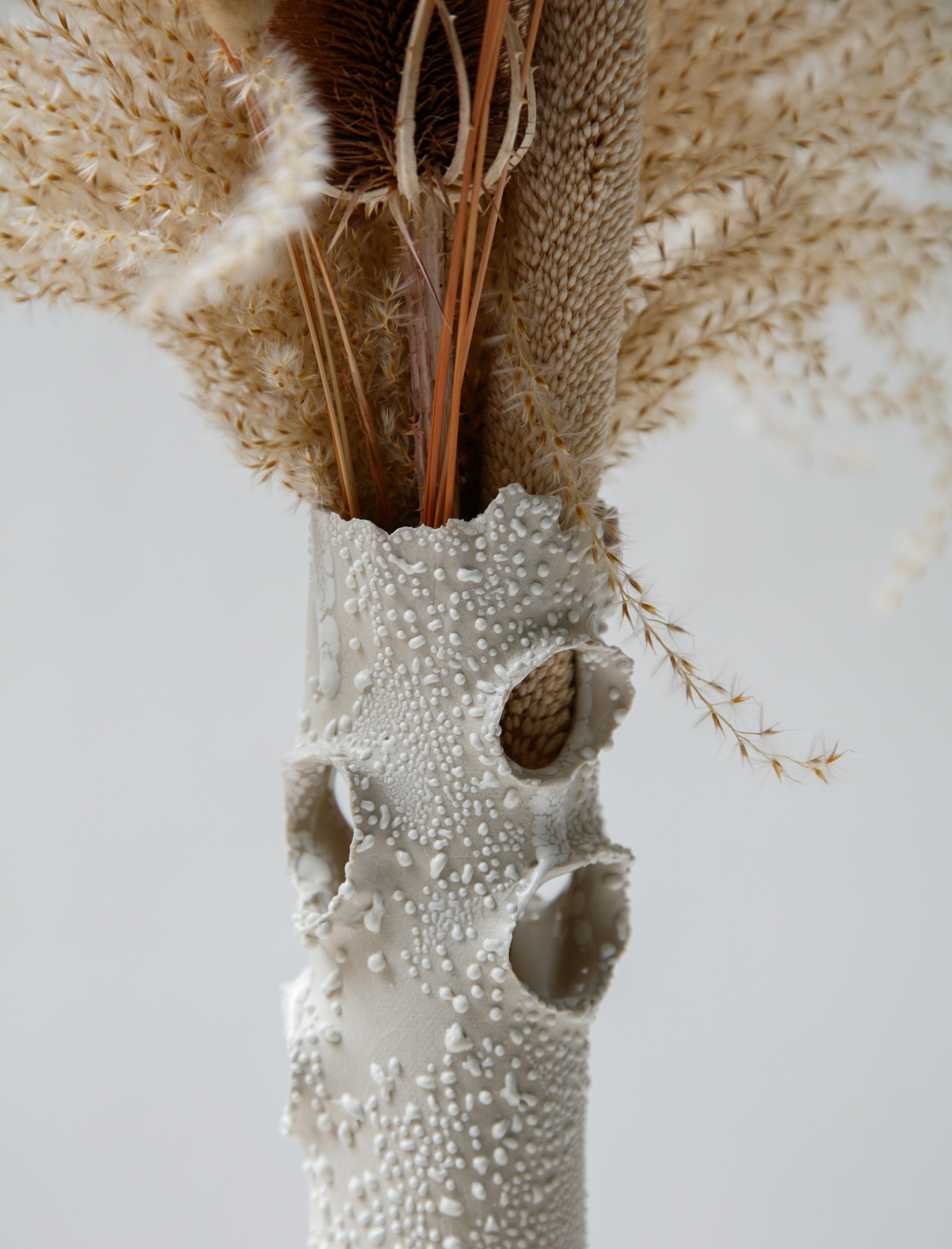 Nathalee Paolinelli Roosting Vase White Lichen #17