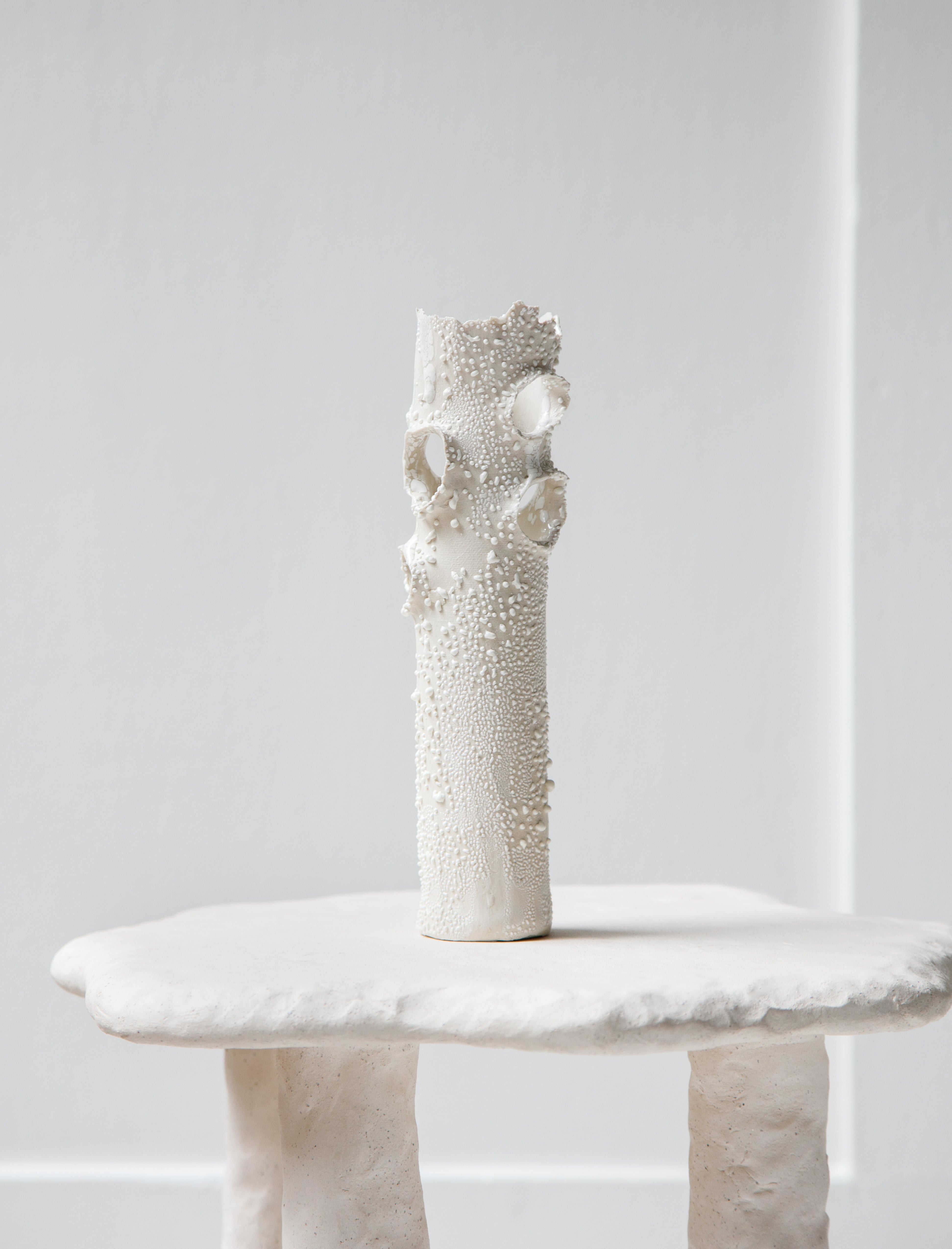 Nathalee Paolinelli Roosting Vase White Lichen #17