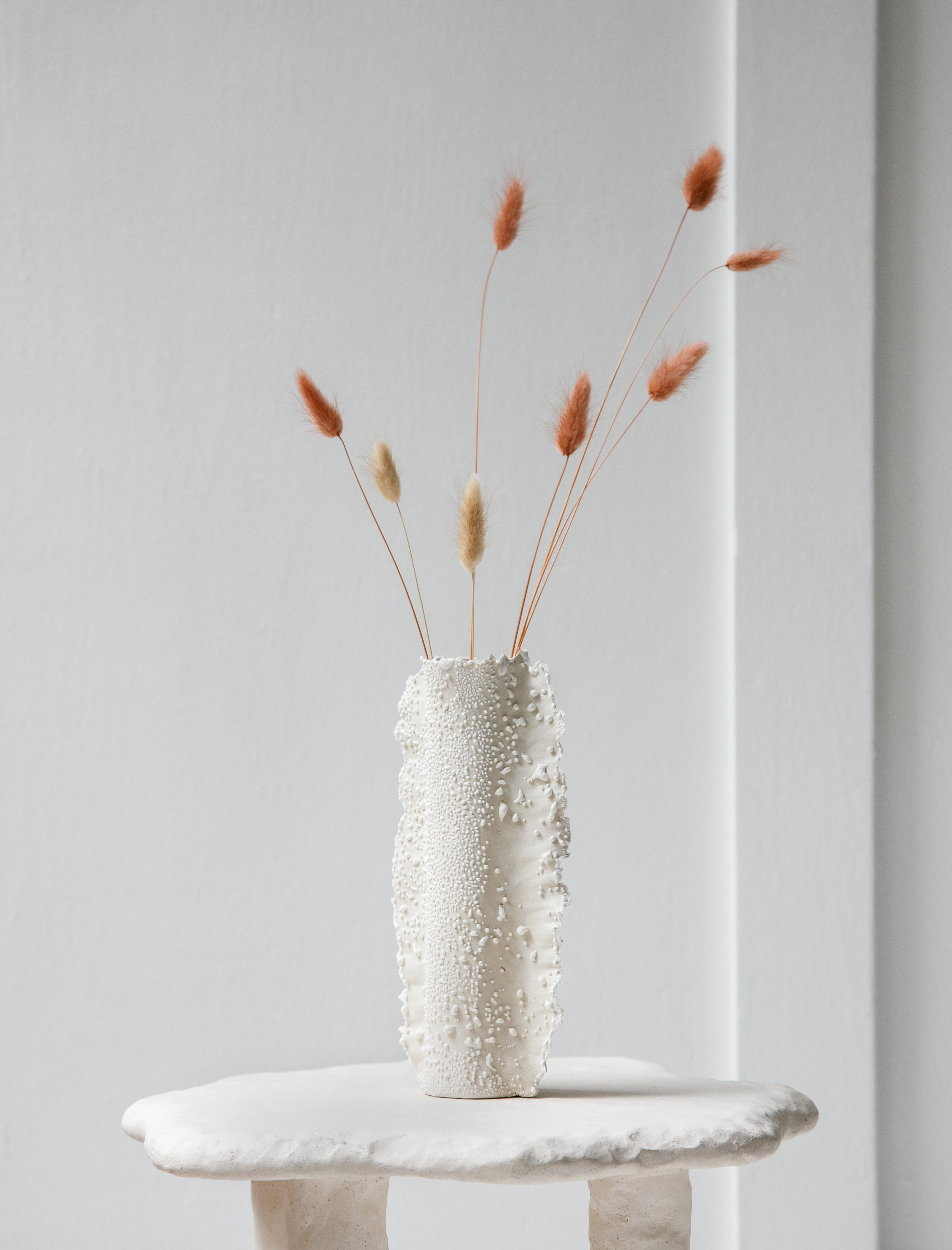 Nathalee Paolinelli Cylinder Vase with Wings White Lichen #16