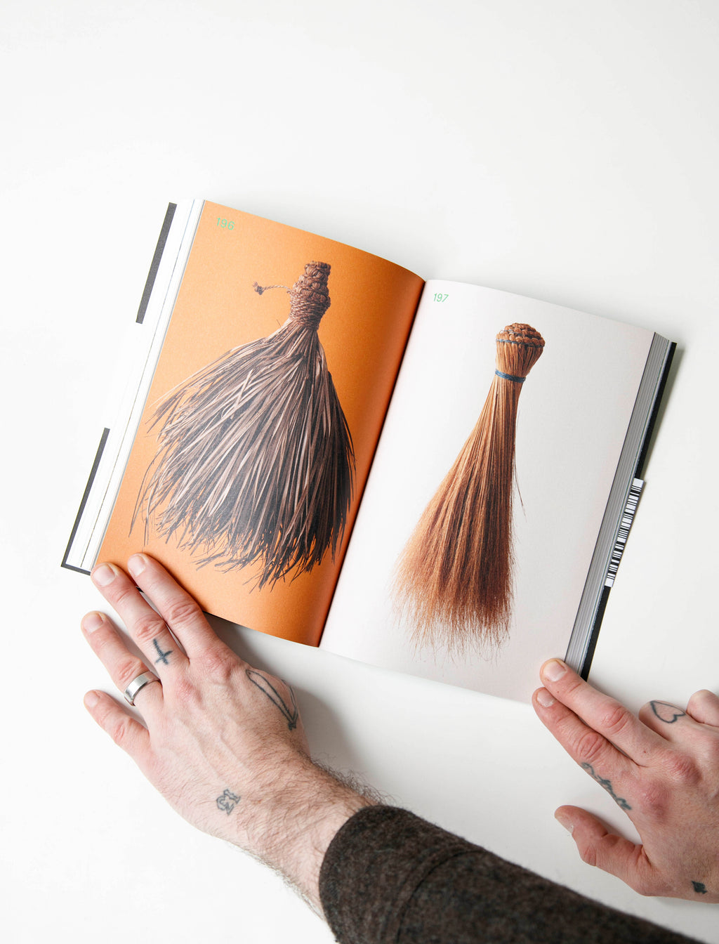 Field of Brooms – Neighbour