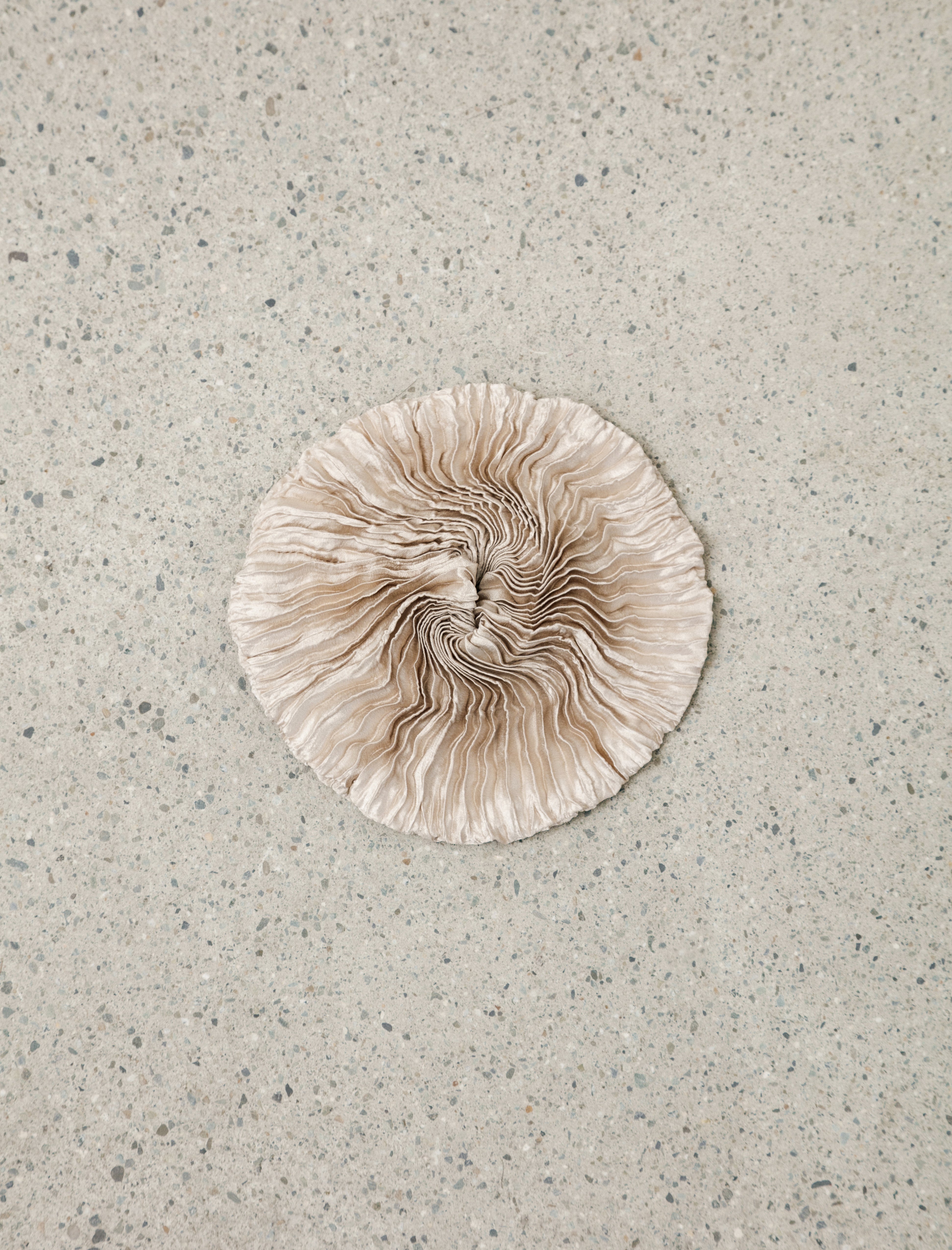 Azur Plissé Silk Scrunchie SS26