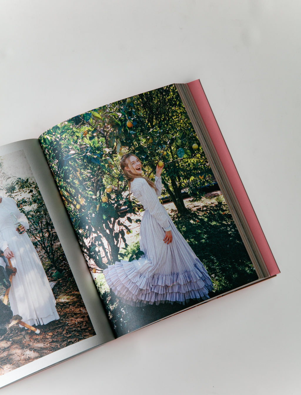 Sofia Coppola - Archive – Neighbour