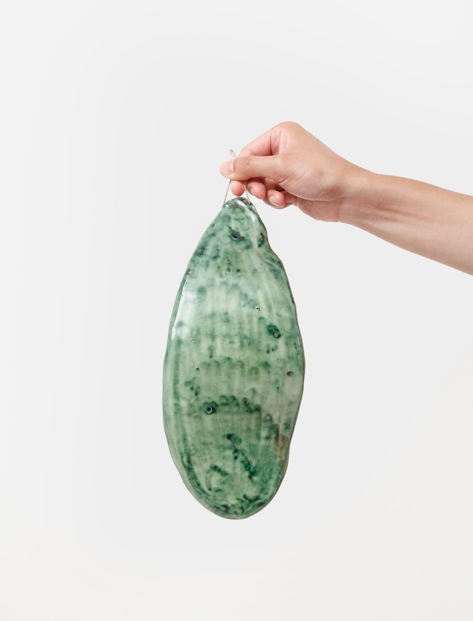 Cristaseya Ceramic Cactus Leaf