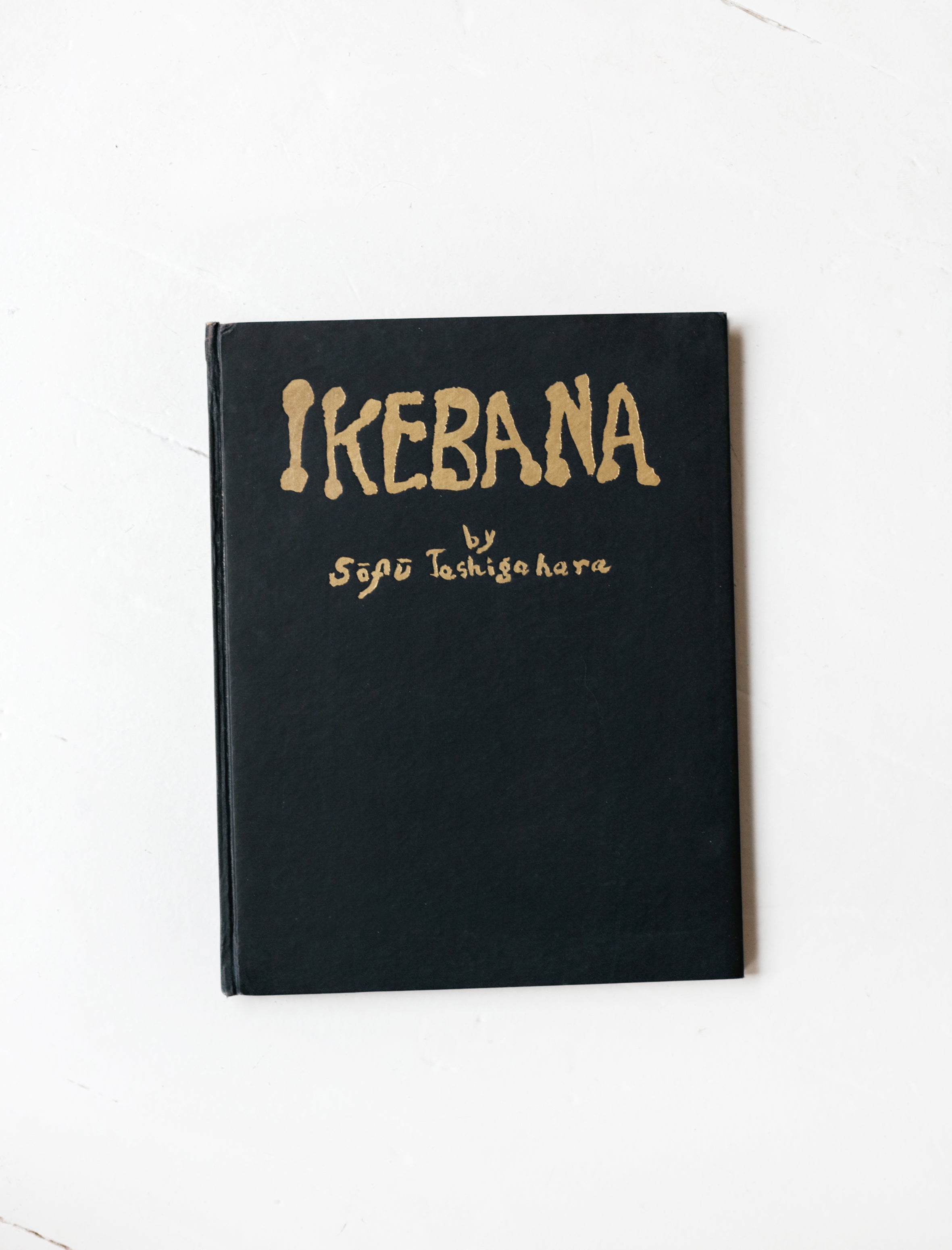 Ikebana by Sofu Teshigahara