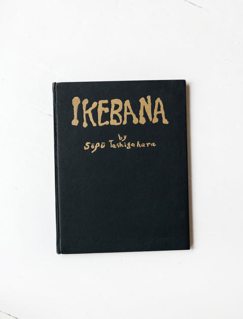 Ikebana by Sofu Teshigahara