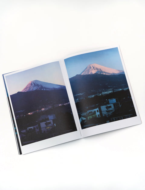 Thirty Six Views of Mount Fuji - Takahashi Homma