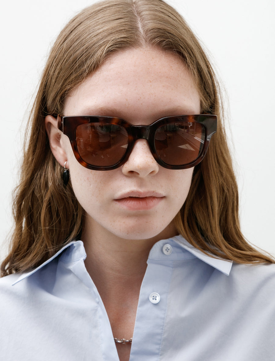 Liv Tortoise - Image 3