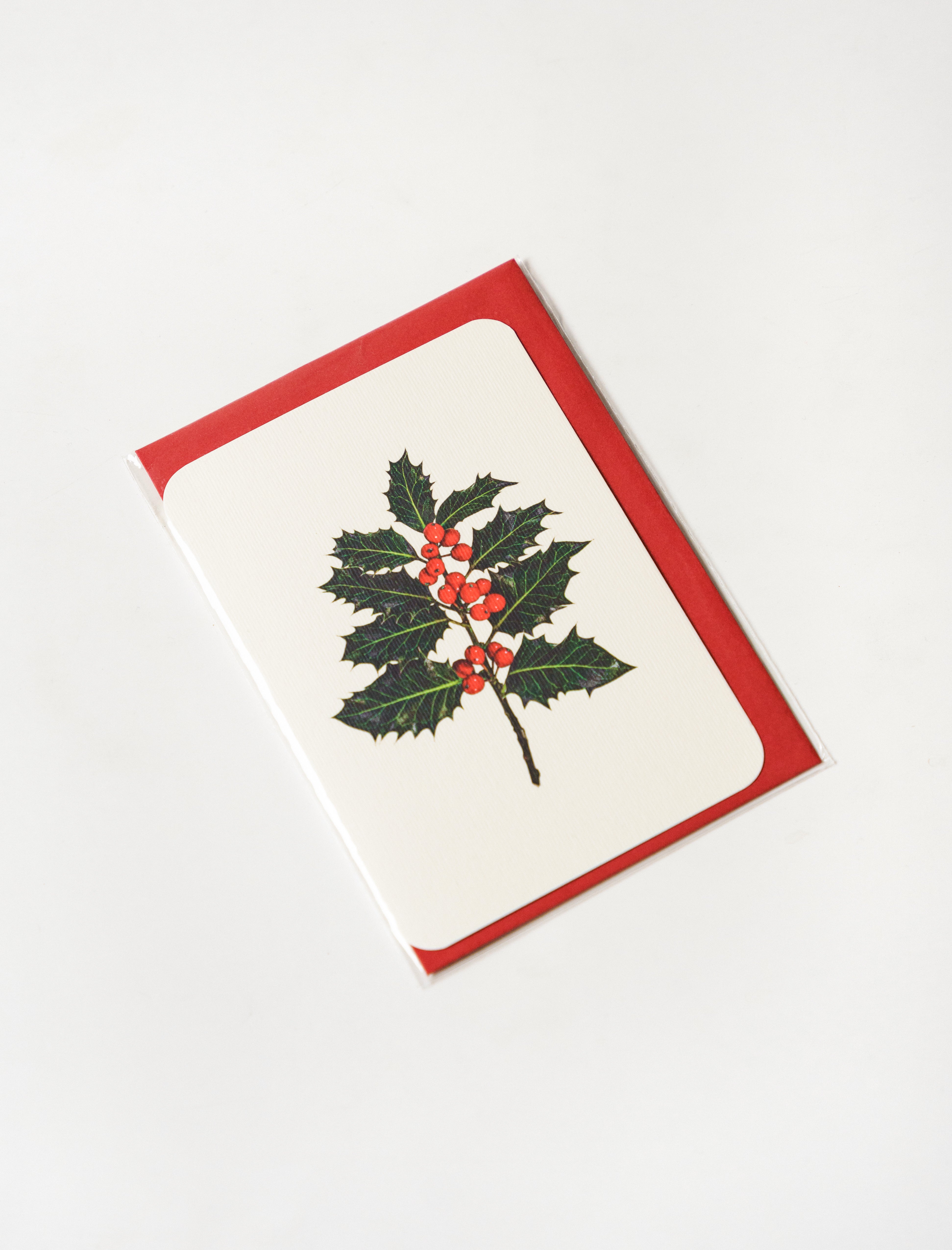 Canonbury Press Greeting Card Holly