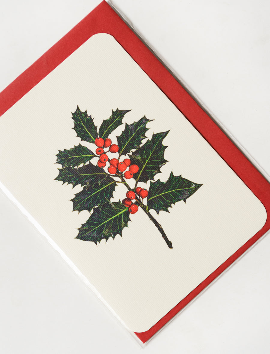 Greeting Card Holly - Image 2