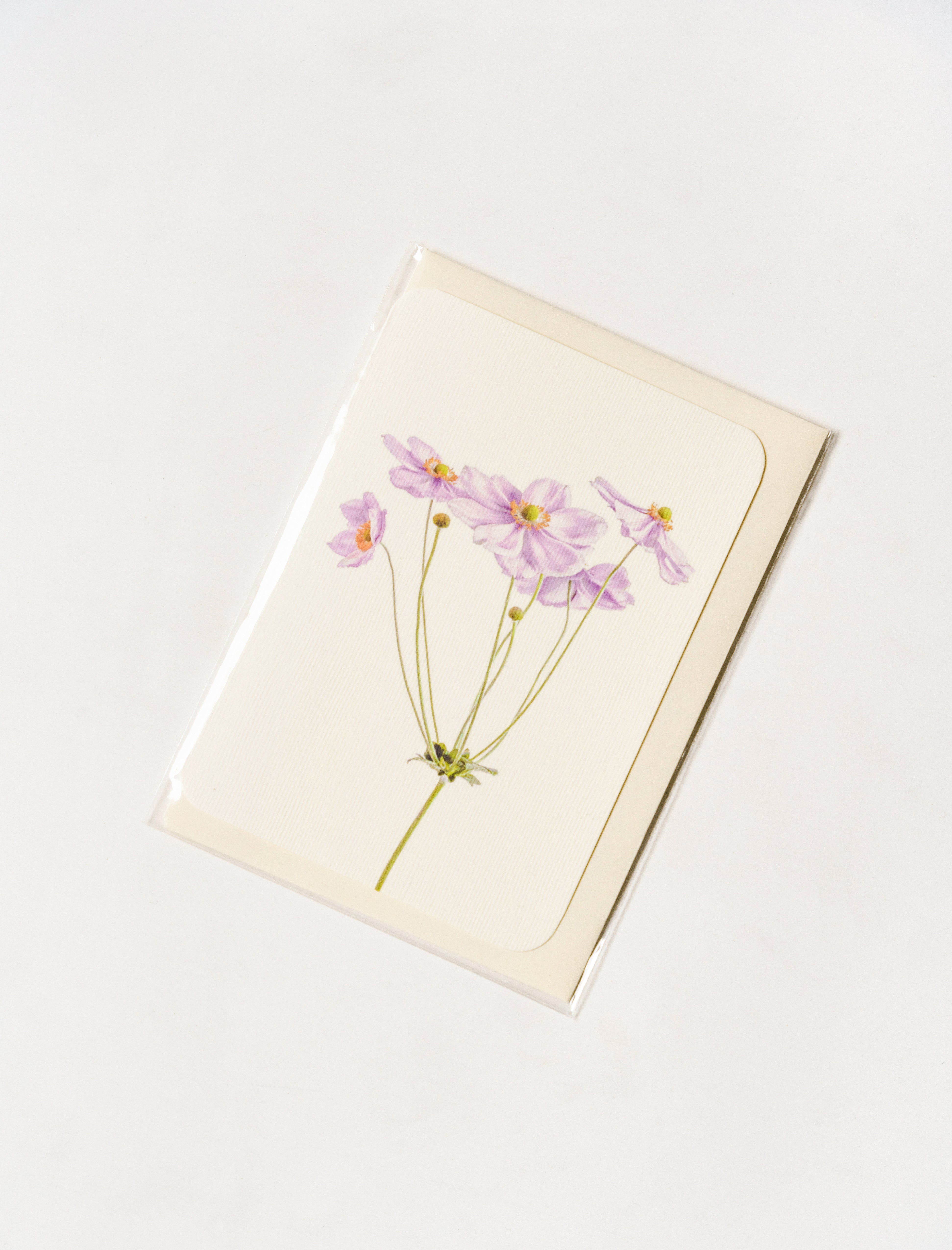 Canonbury Press Greeting Card Anemone