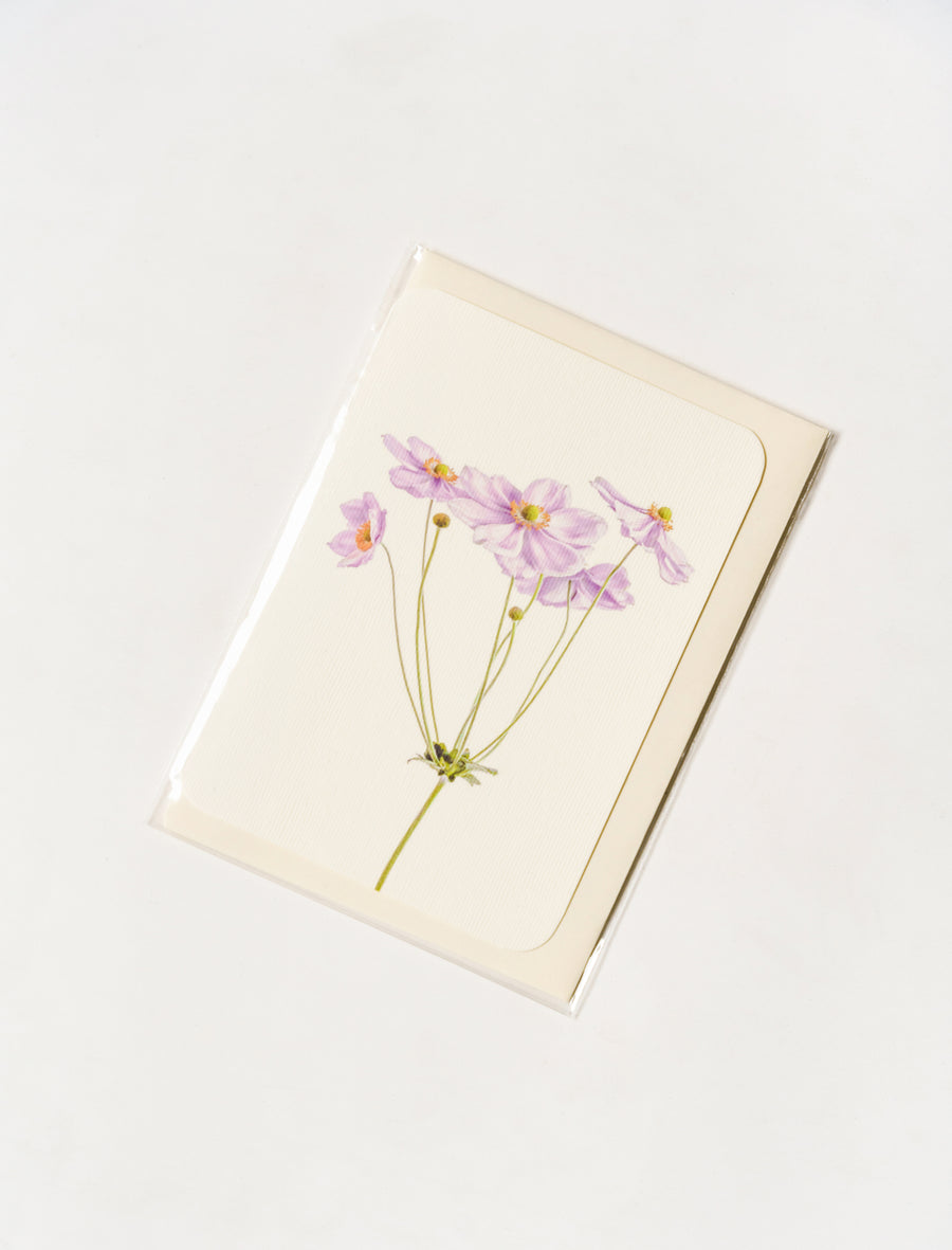 Greeting Card Anemone - Image 1
