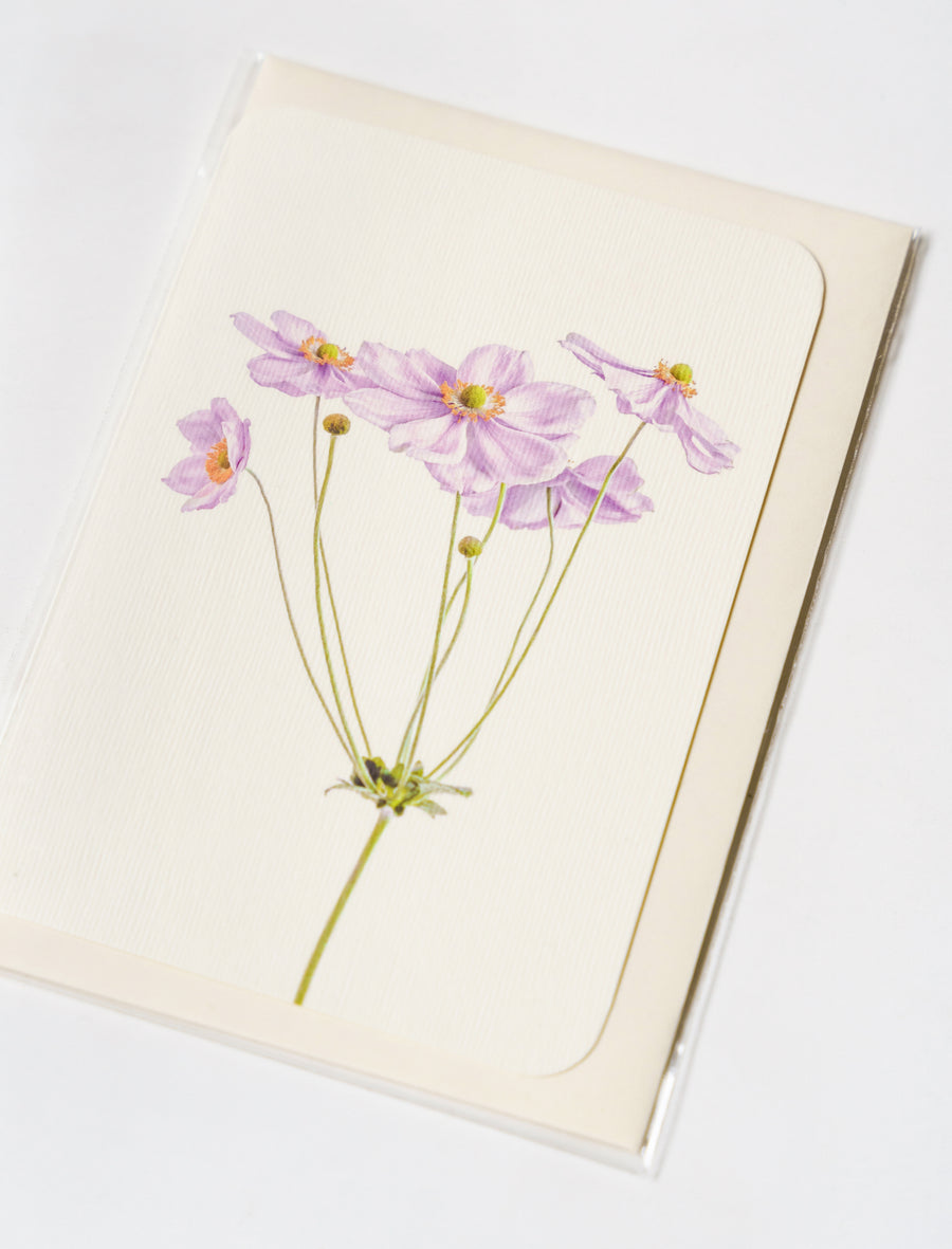 Greeting Card Anemone - Image 2