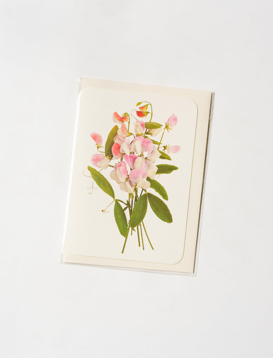 Greeting Card Pink Sweet Peas - Image 1