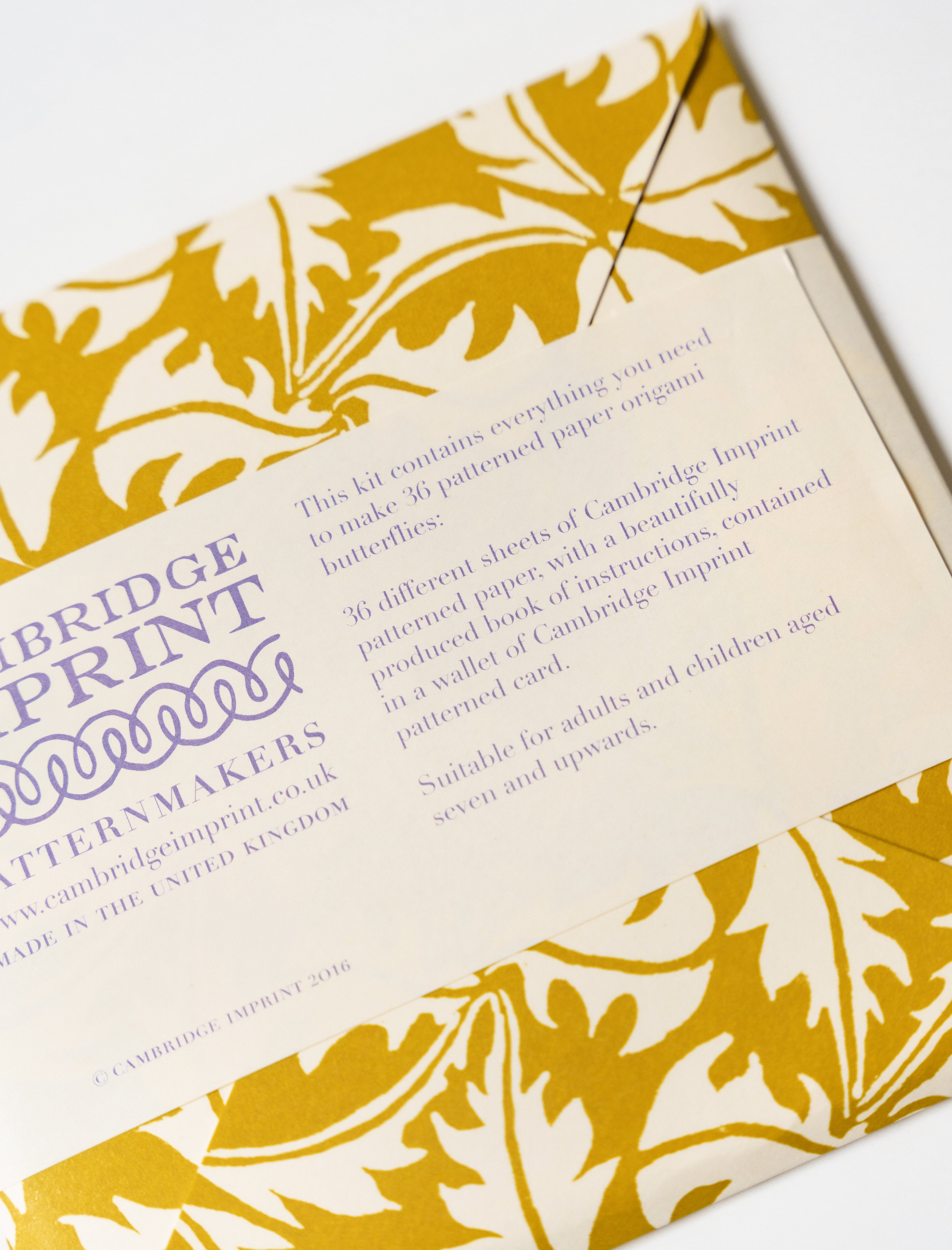 Cambridge Imprint Origami Cloud of Butterflies Kit