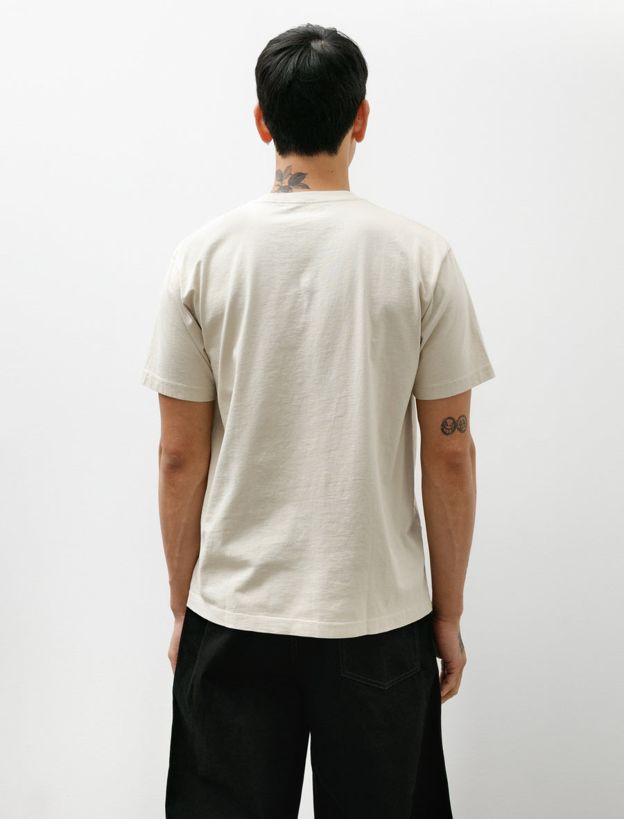 Municipal T-Shirt Paper - Image 3