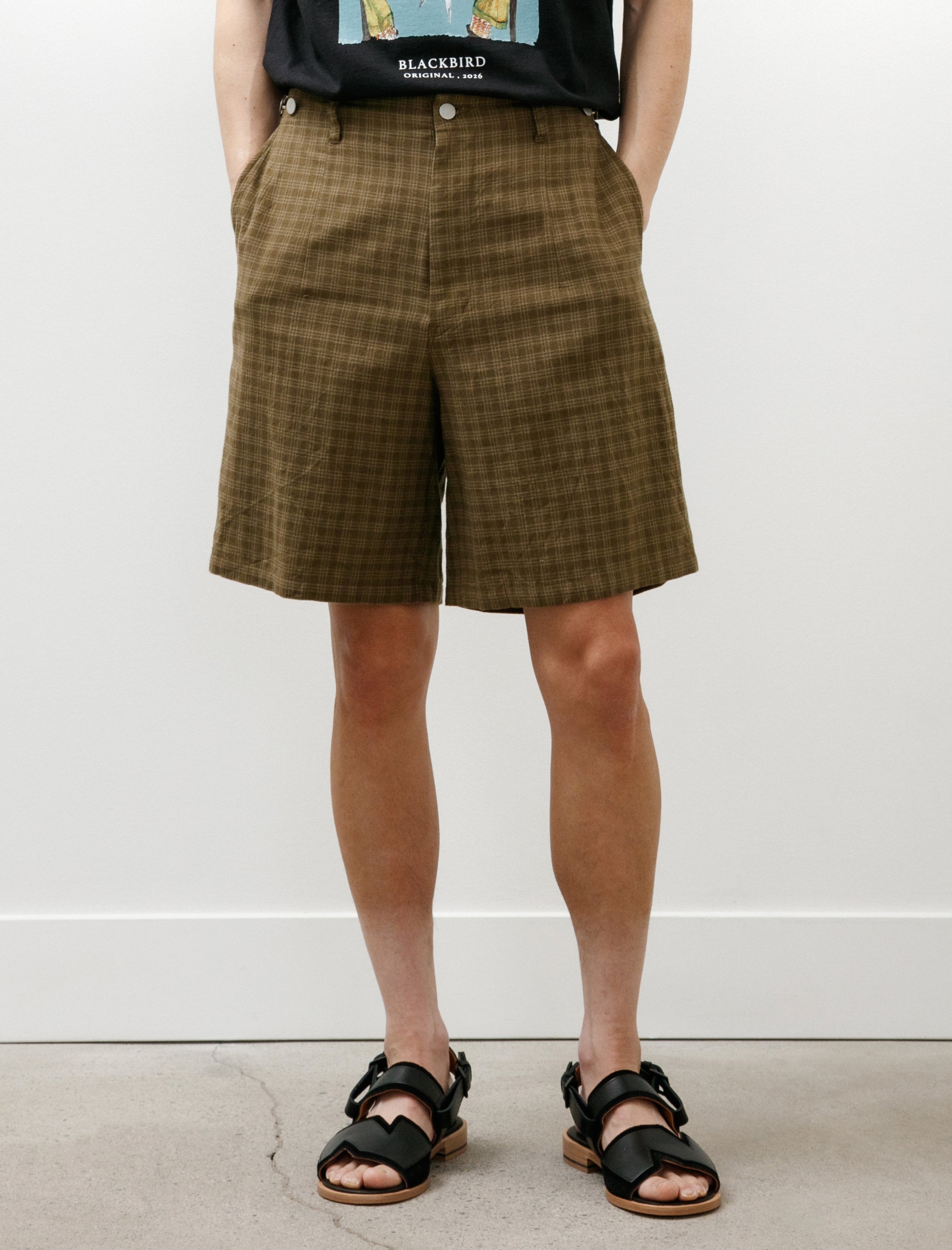 Blackbird Editors Short Check