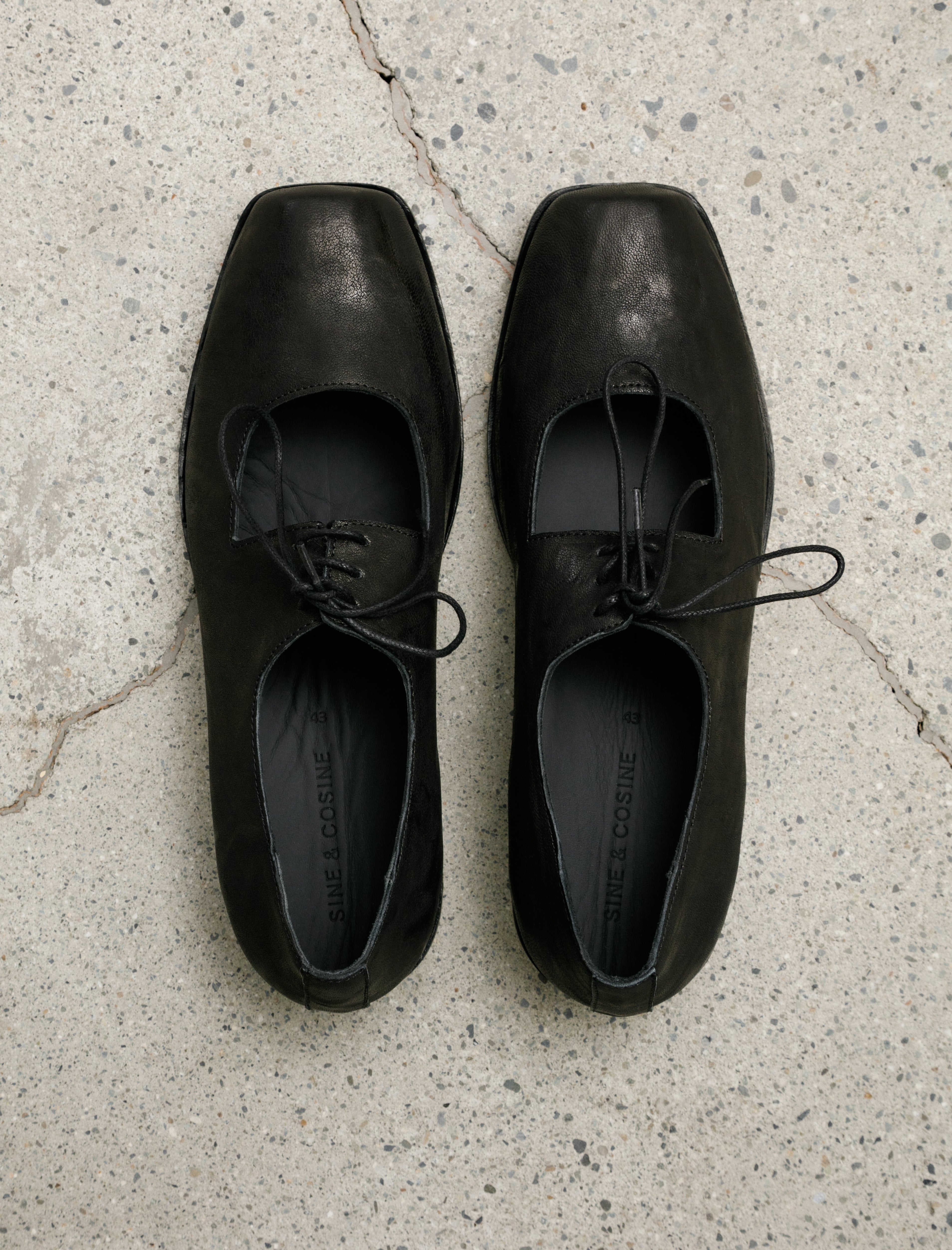 Sine & Cosine Theresia Derby Oyster Black