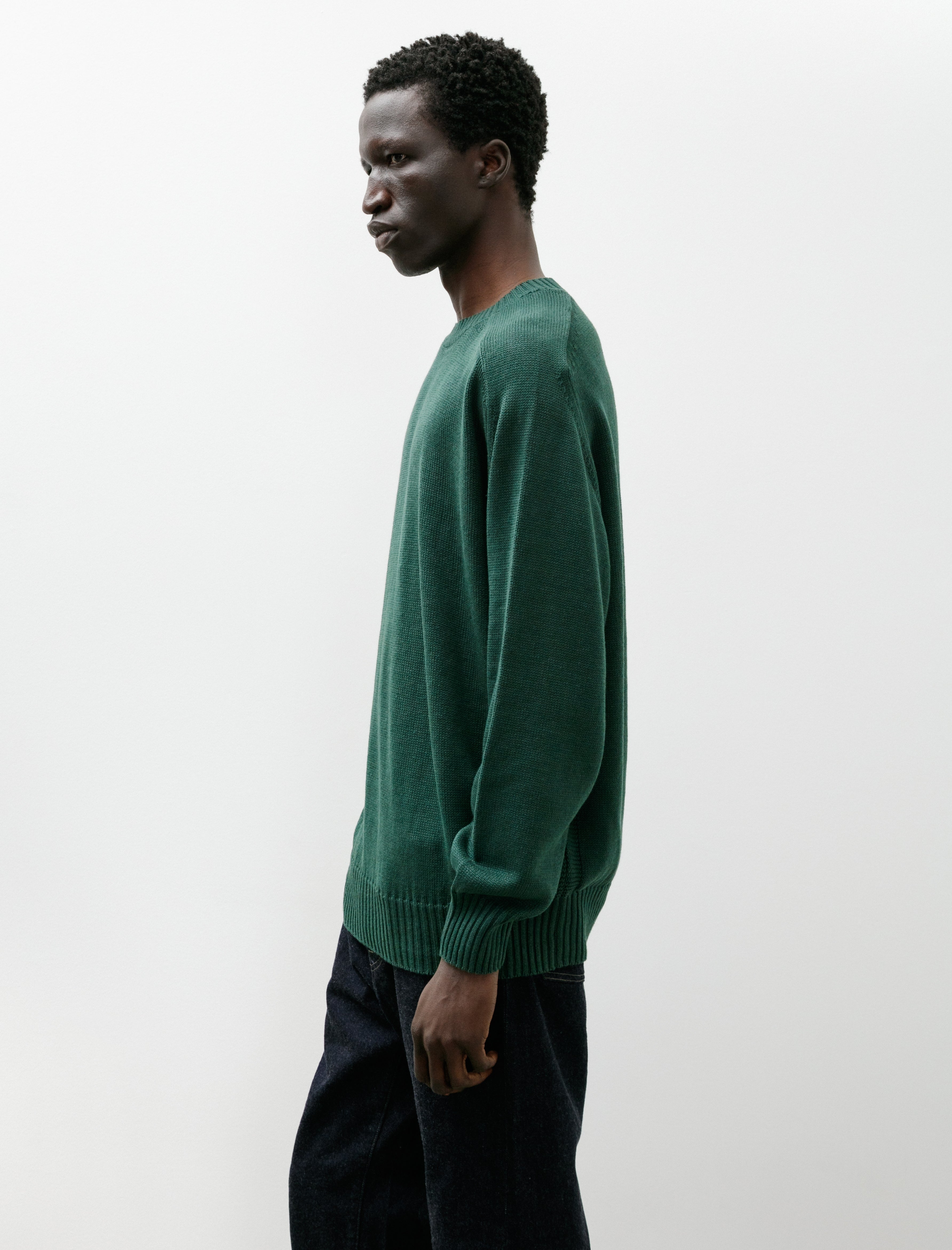 Phigvel C/L Crewneck Knit Viridian