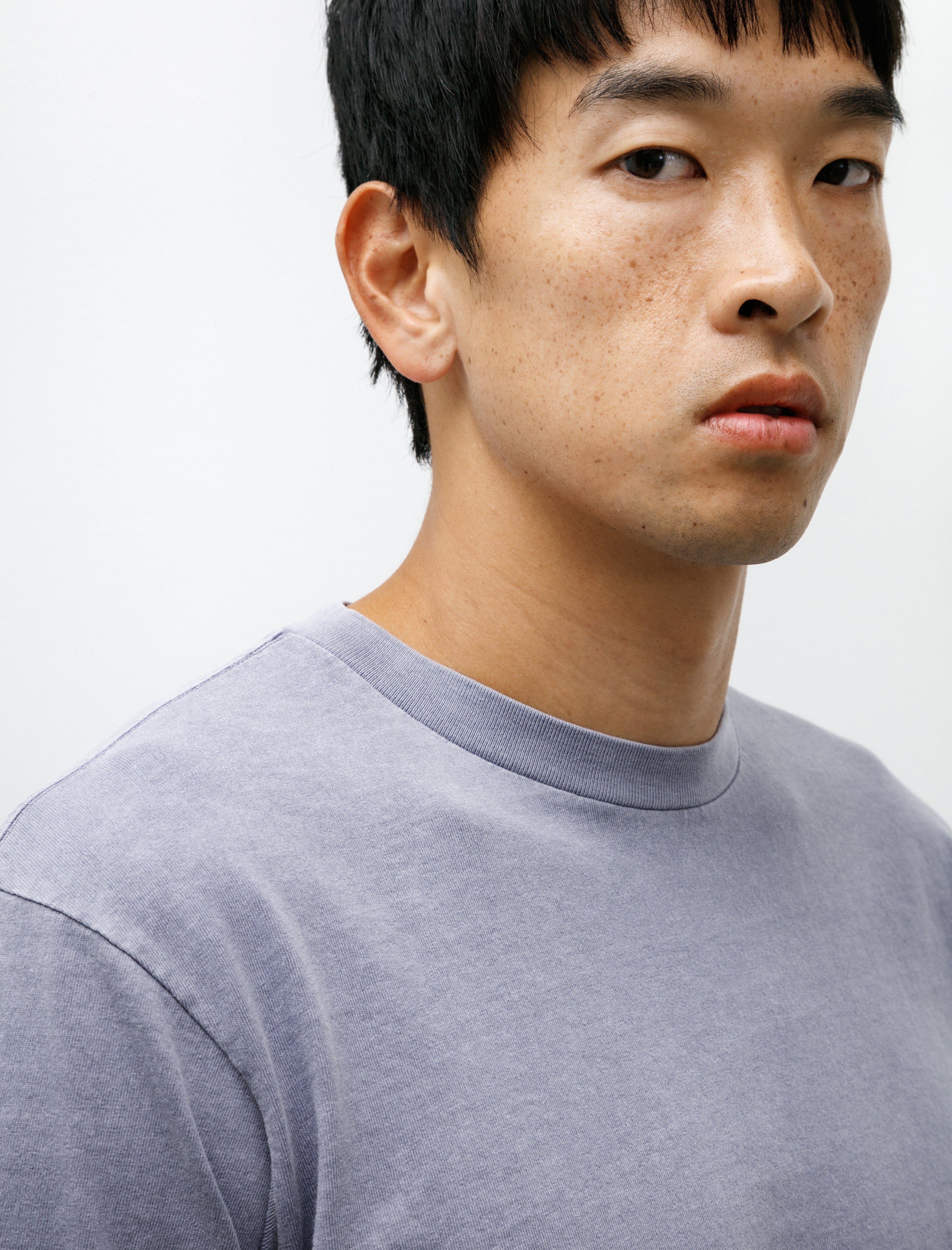 Lady White Co. Municipal T-Shirt Lilac Grey