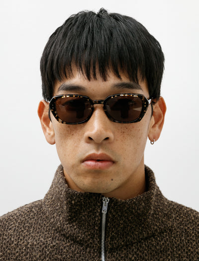 Earth Glass Tortoise