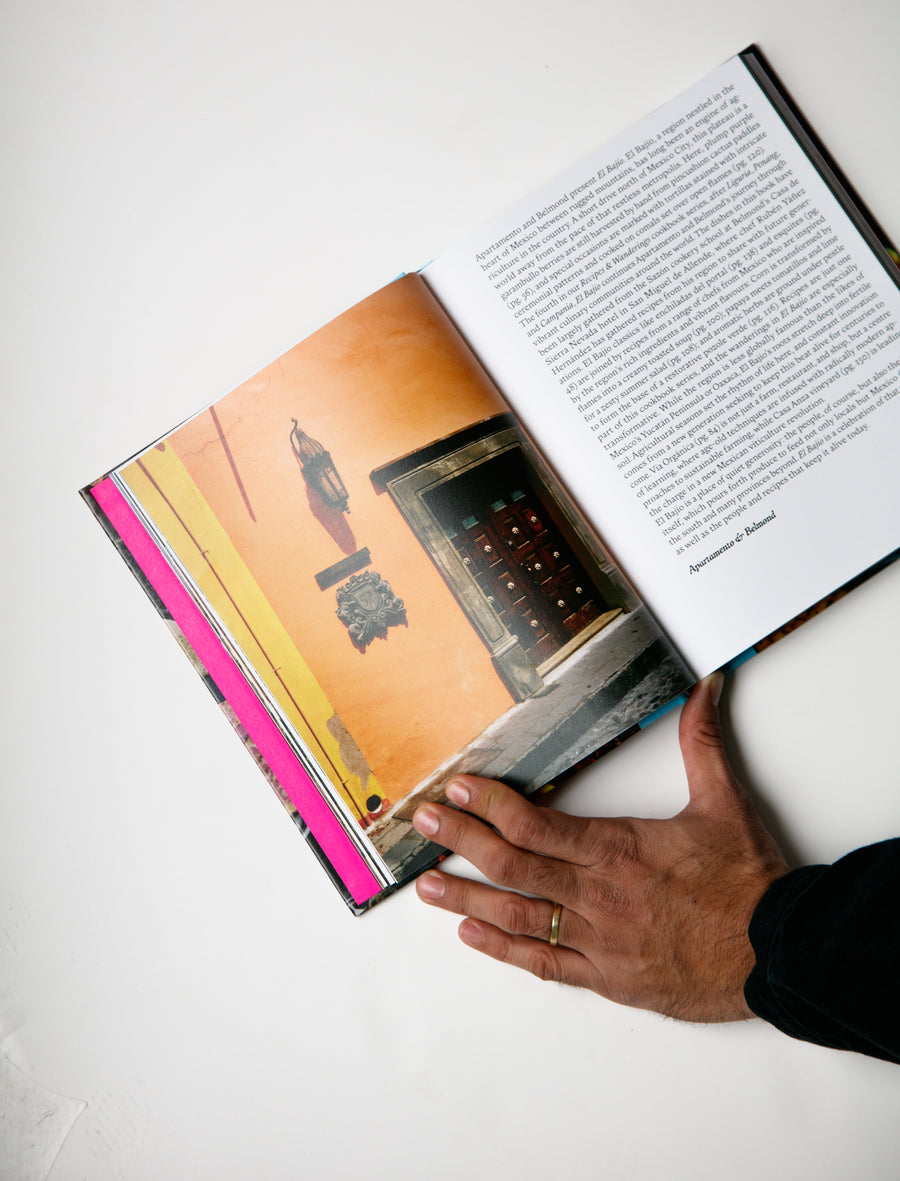 EL BAJIO: Recipes & Wanderings Through Mexico's Heartland - Image 2