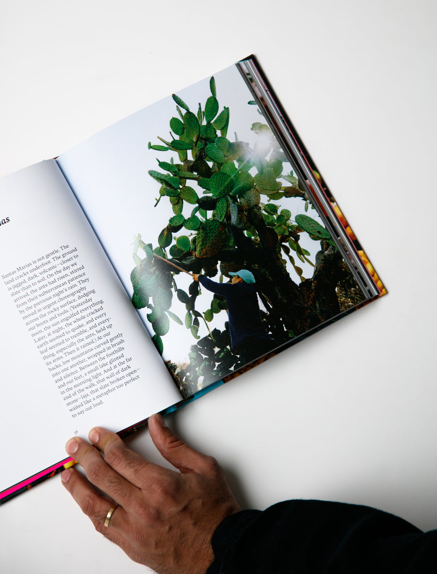 EL BAJIO: Recipes & Wanderings Through Mexico's Heartland - Image 3