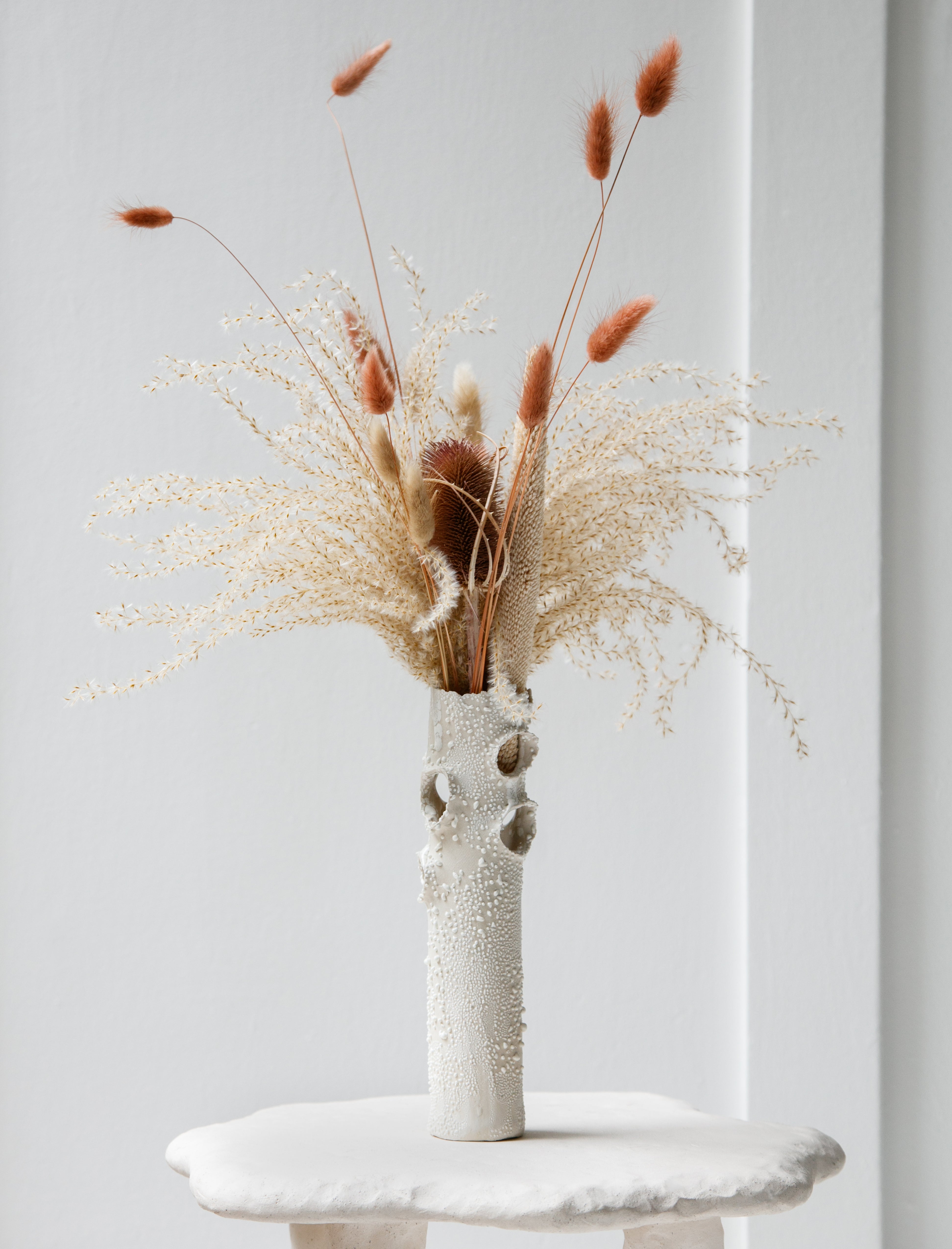 Nathalee Paolinelli Roosting Vase White Lichen #17