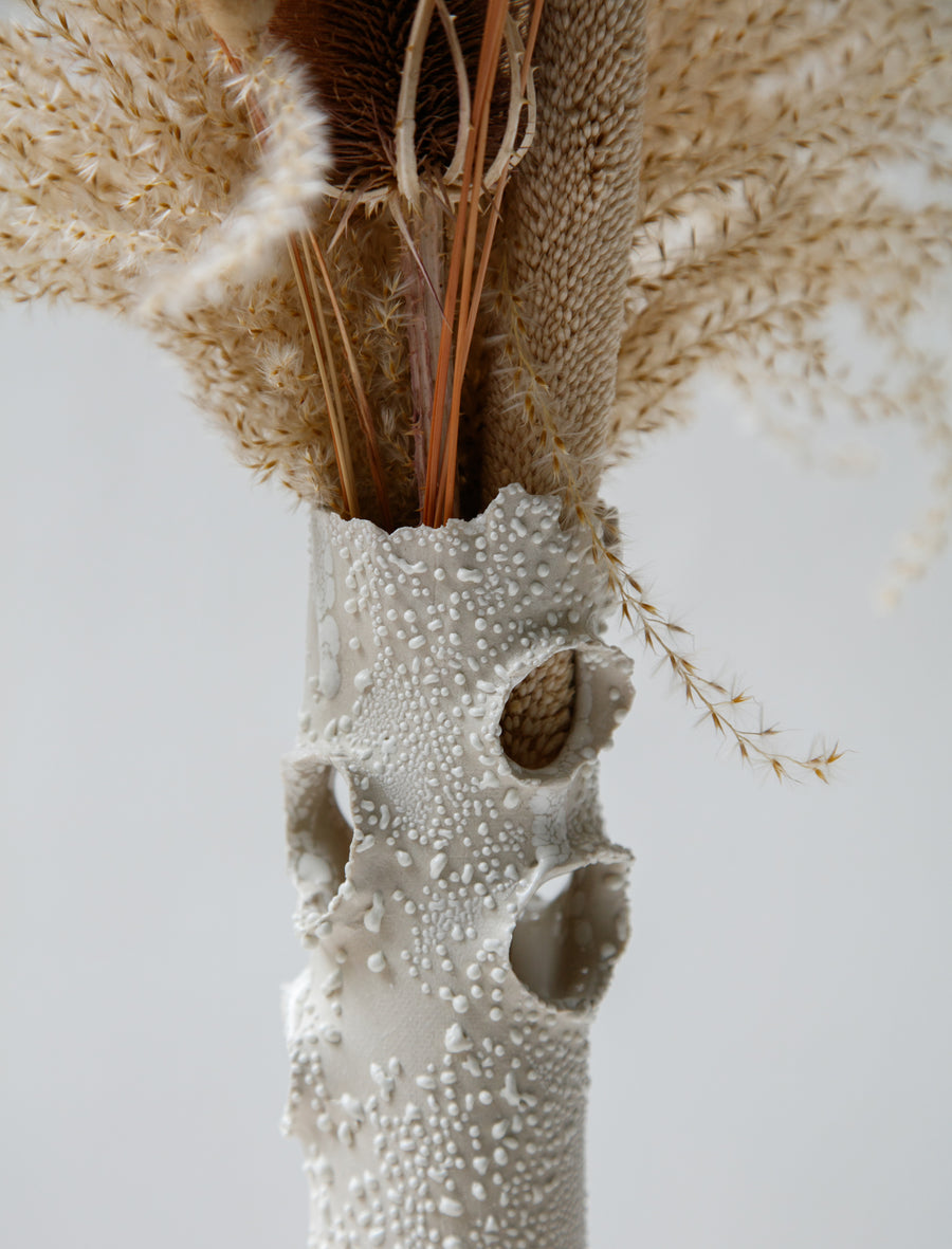 Roosting Vase White Lichen #17 - Image 3