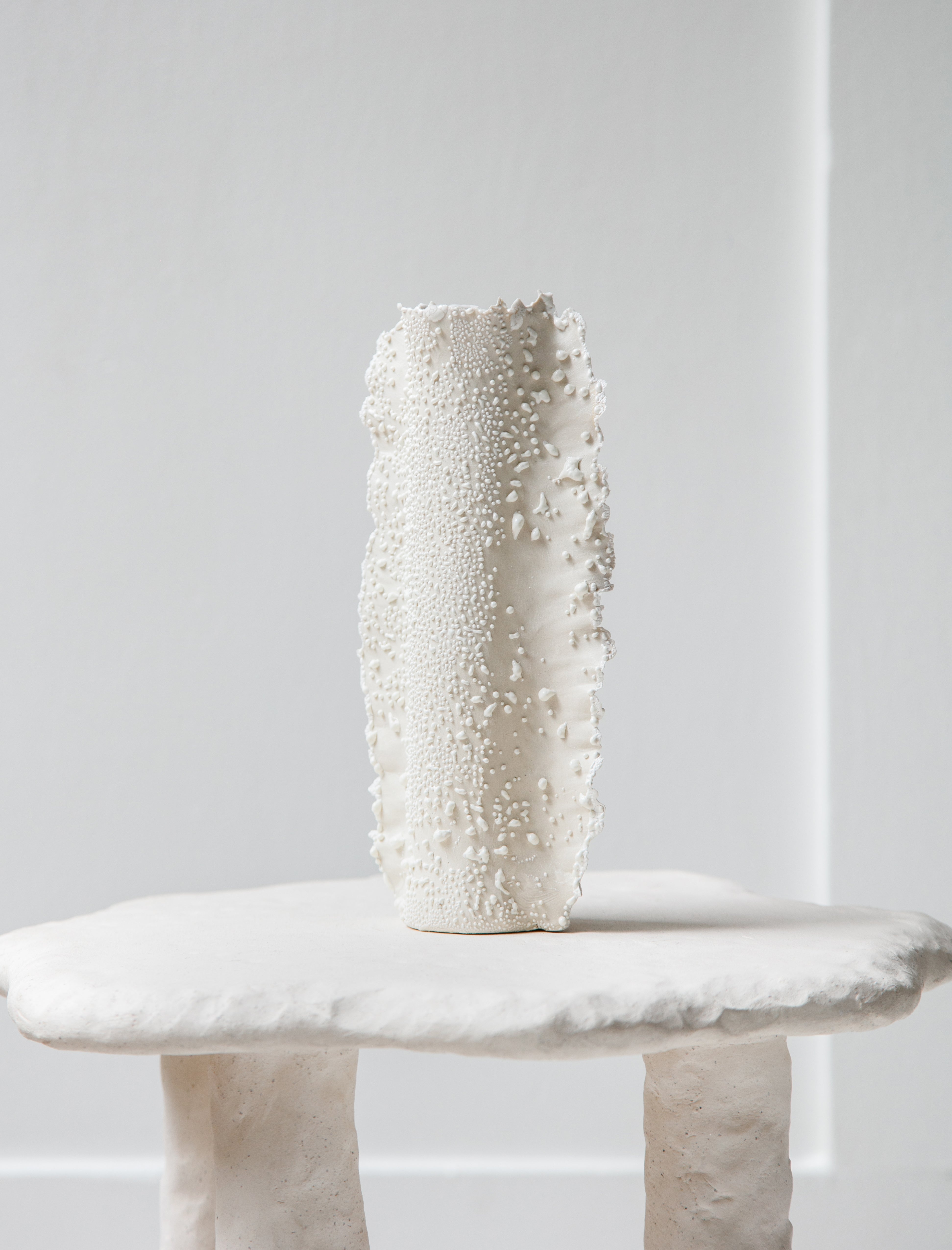 Nathalee Paolinelli Cylinder Vase with Wings White Lichen #16