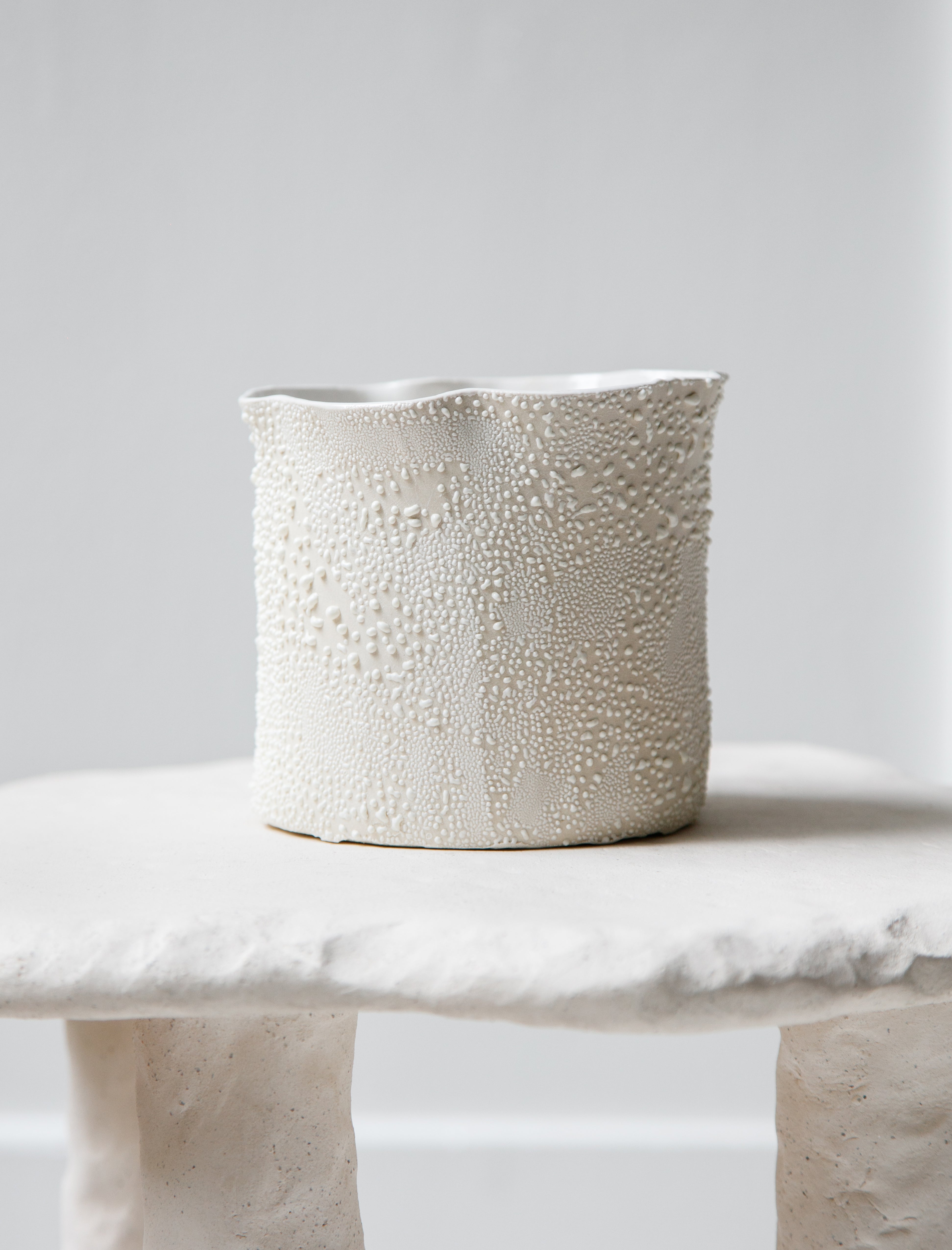 Nathalee Paolinelli Short Cylinder Vase White Lichen #19