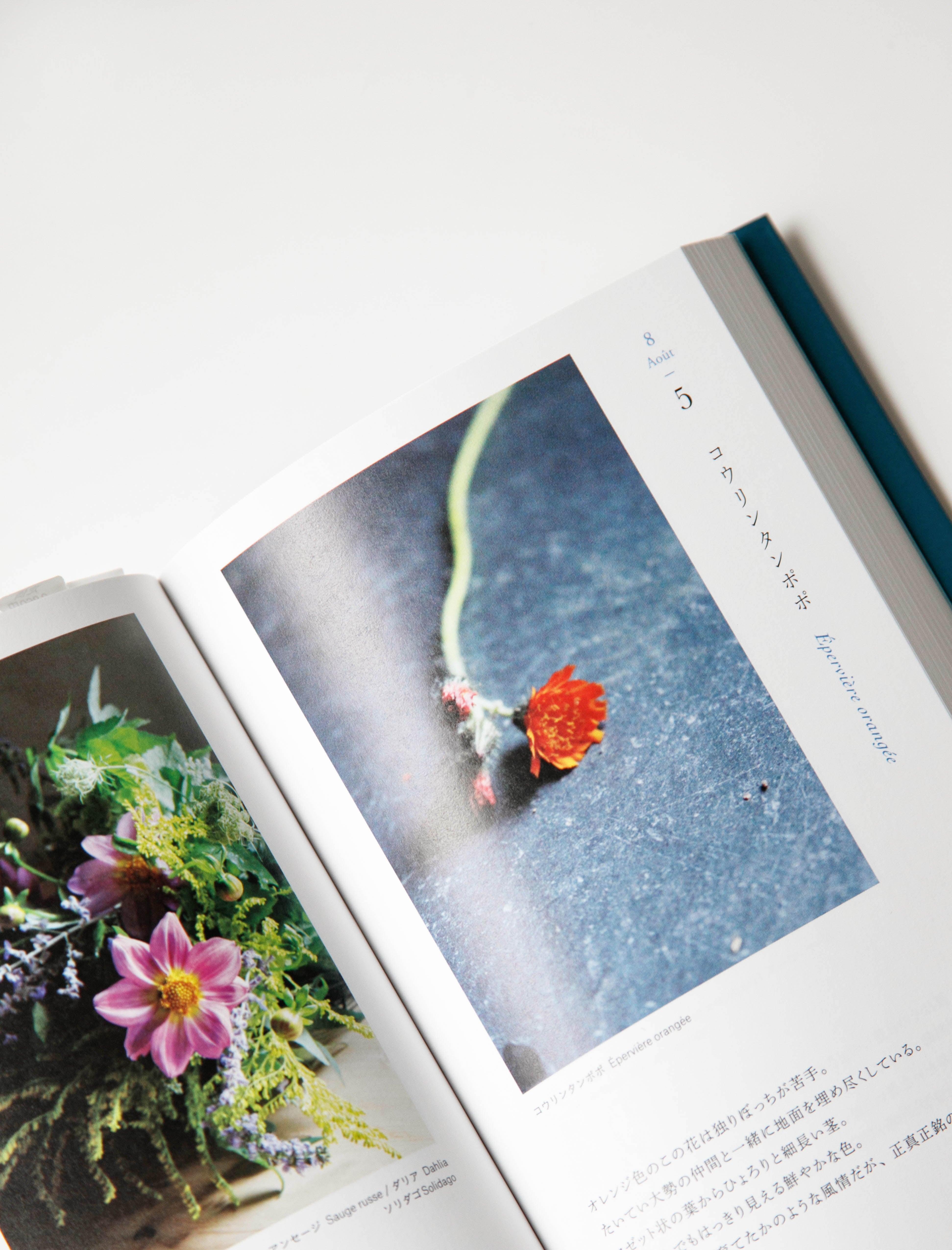 365 Days of Flowers from a French Garden