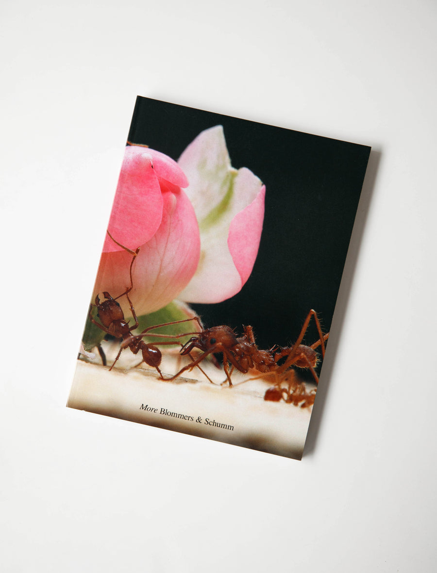 Bloomers & Schumm - More - Image 1