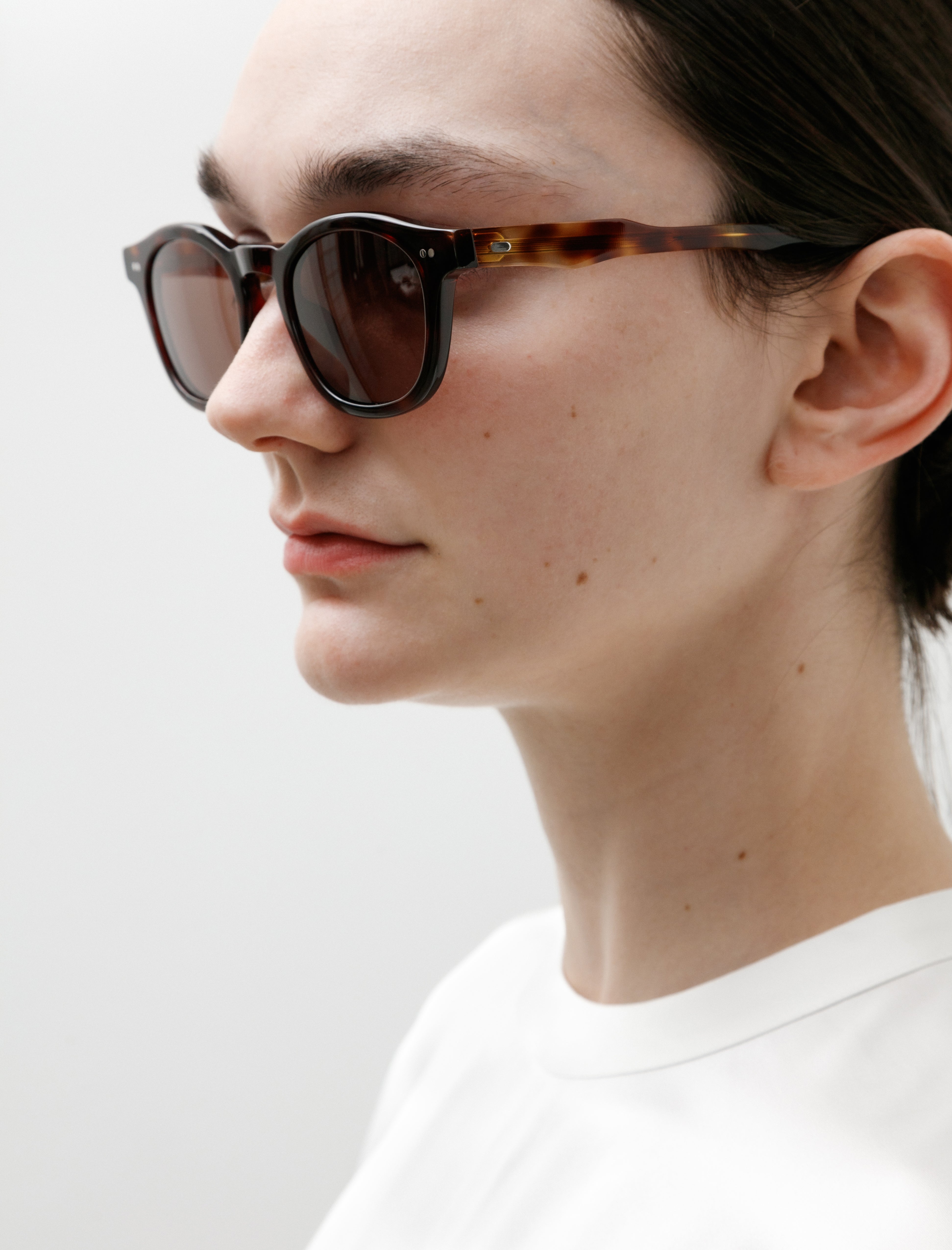 Dry Pond Alves II Sunglasses Tortoise
