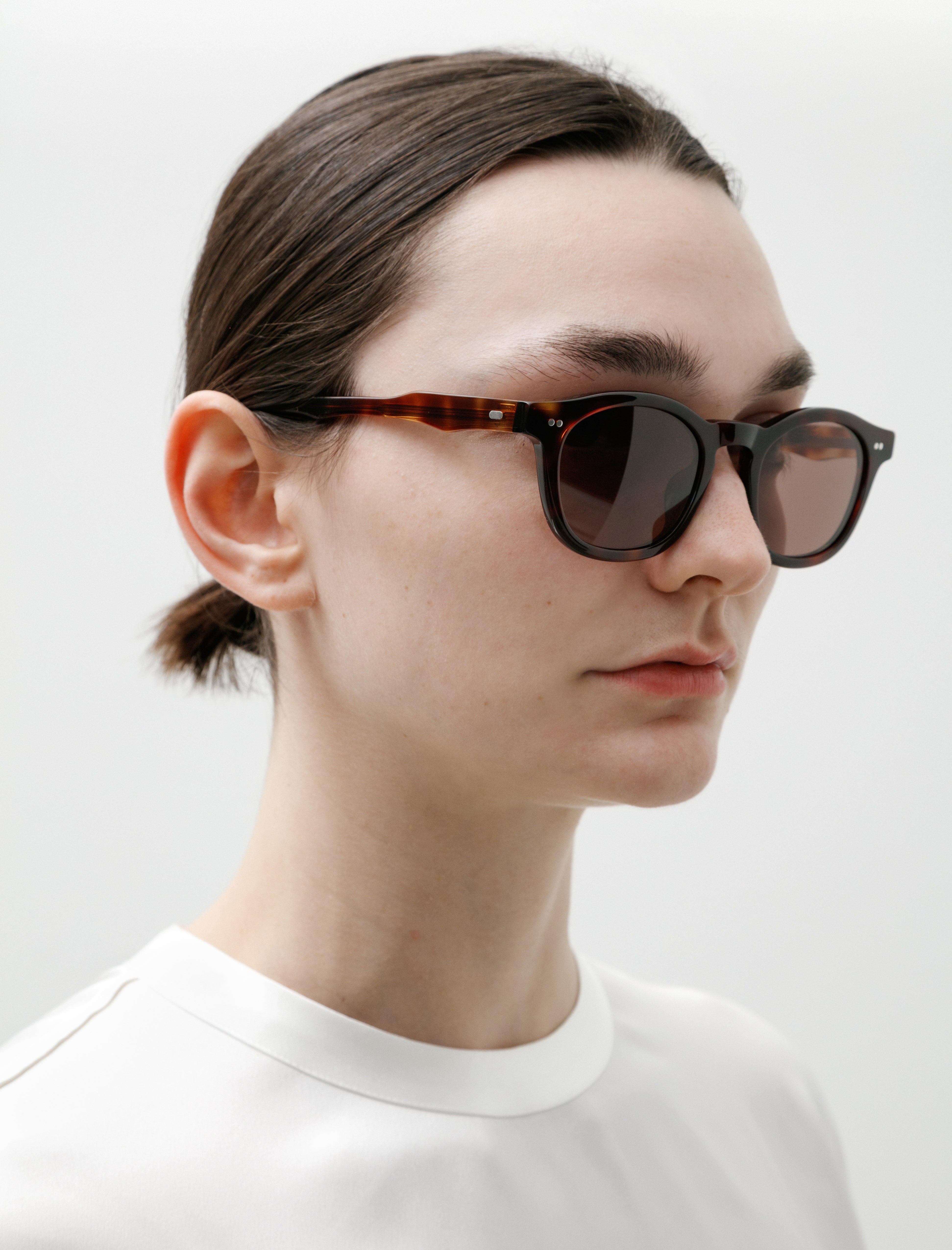 Dry Pond Alves II Sunglasses Tortoise