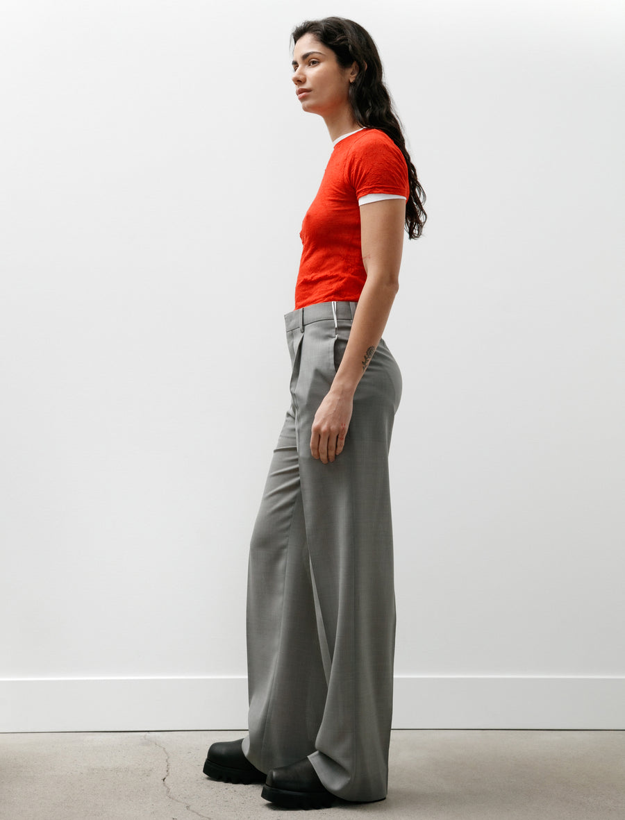 Sheer Trousers Gray - Image 3
